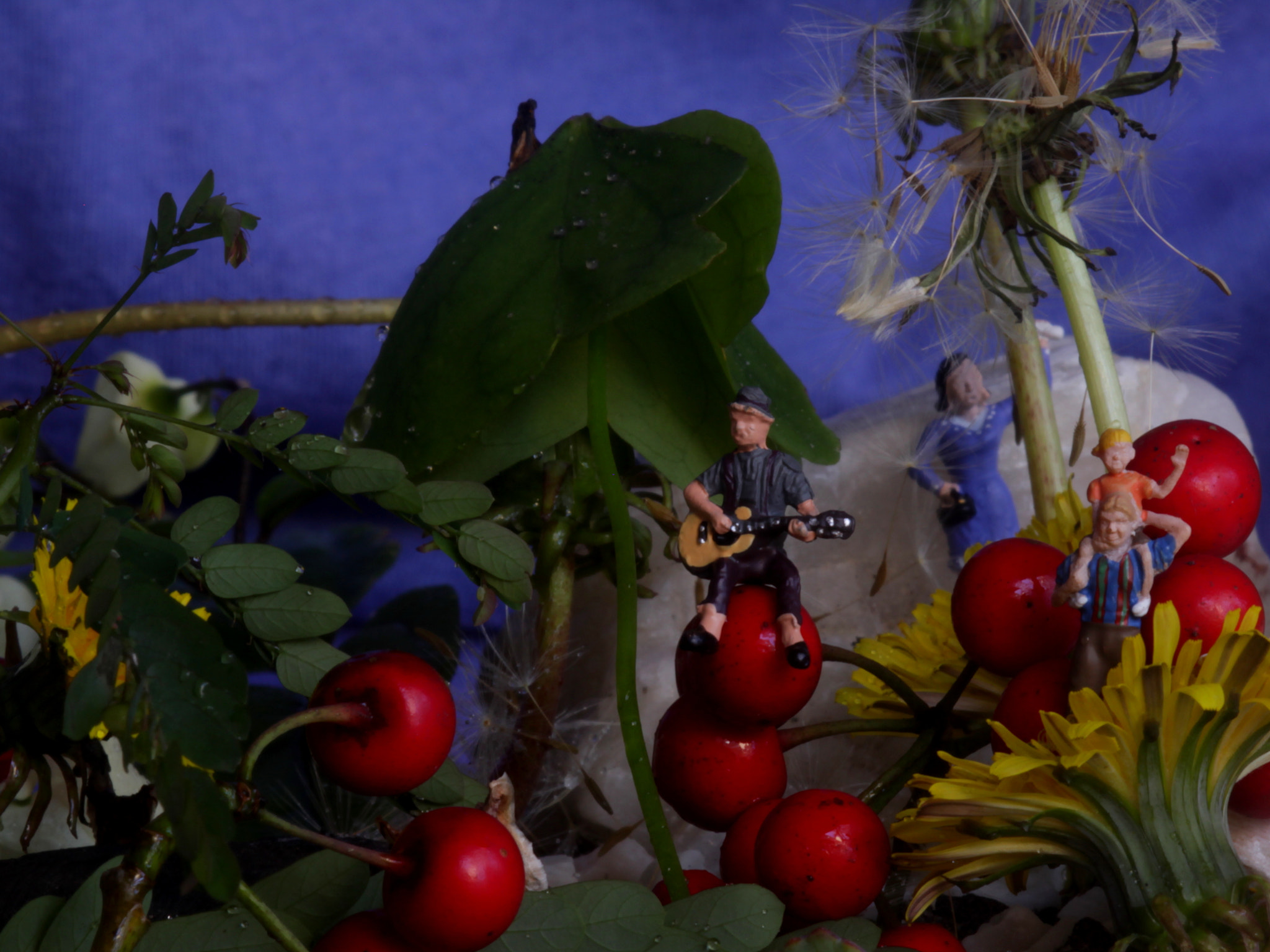 Canon EF 100mm F2.8 Macro USM sample photo. All mini happy human listening to music in the surreal forest photography