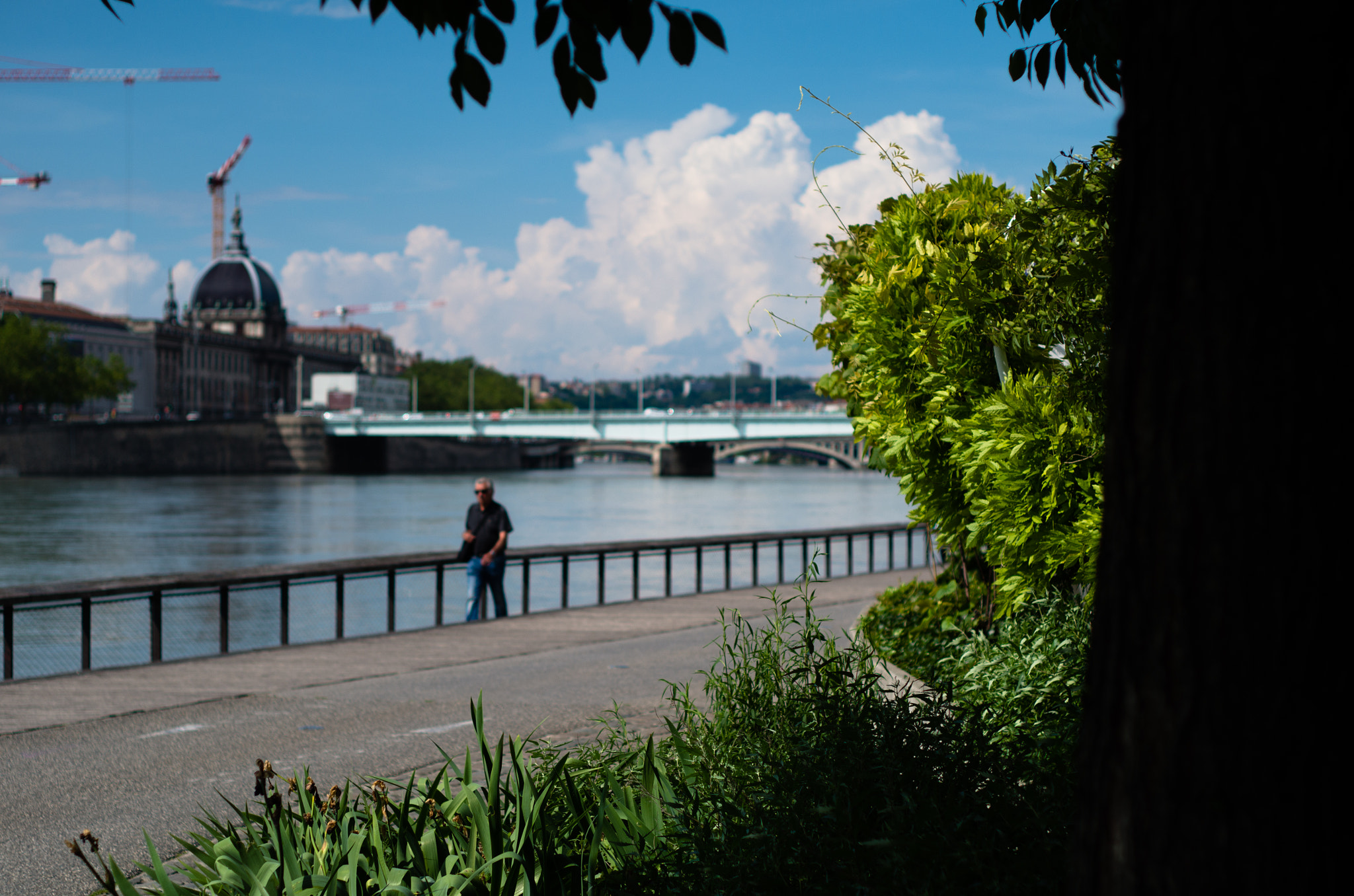 Pentax K-30 sample photo. Nature framed the city photography