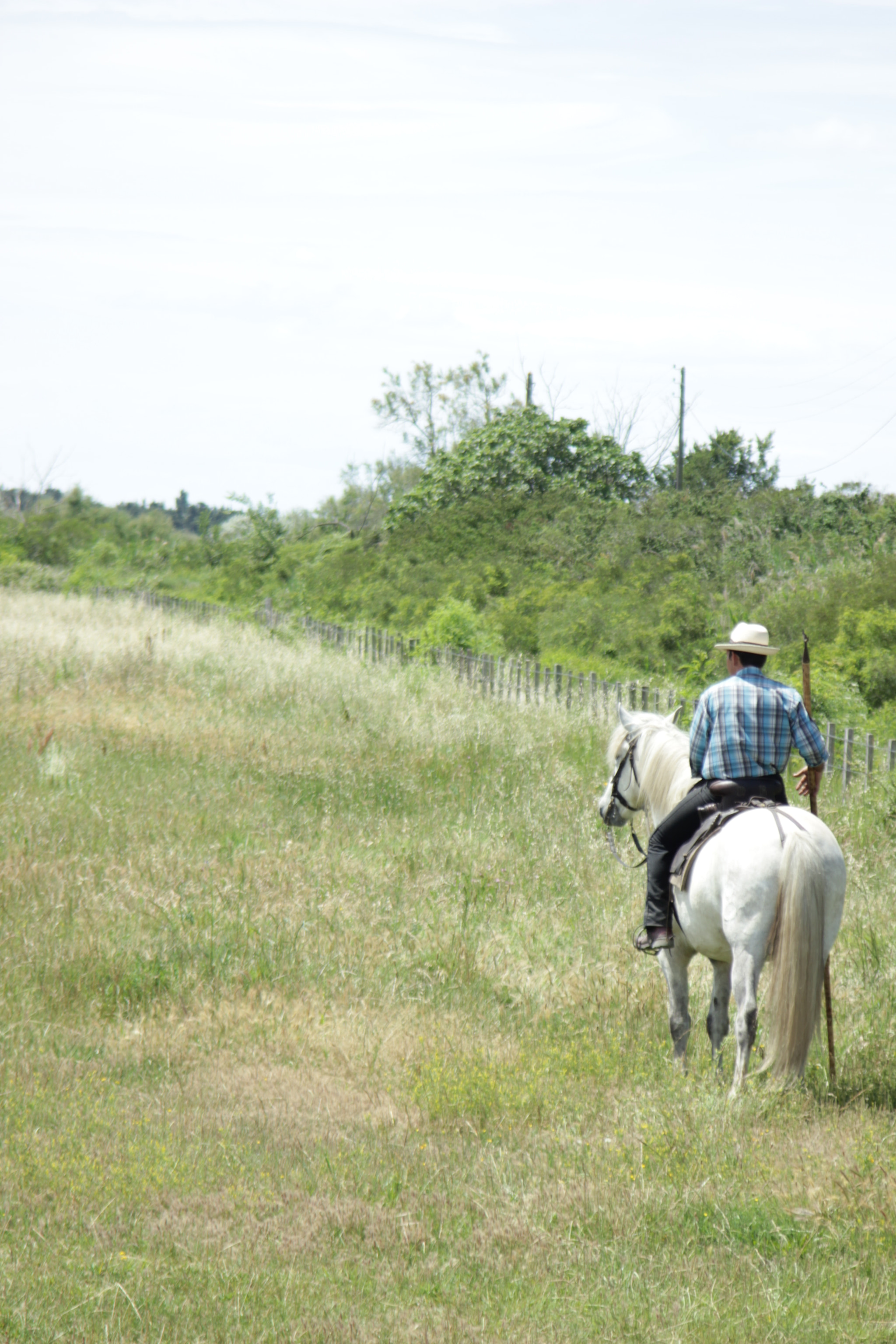 Canon EF 35-135mm f/4-5.6 USM sample photo. French cowboy photography