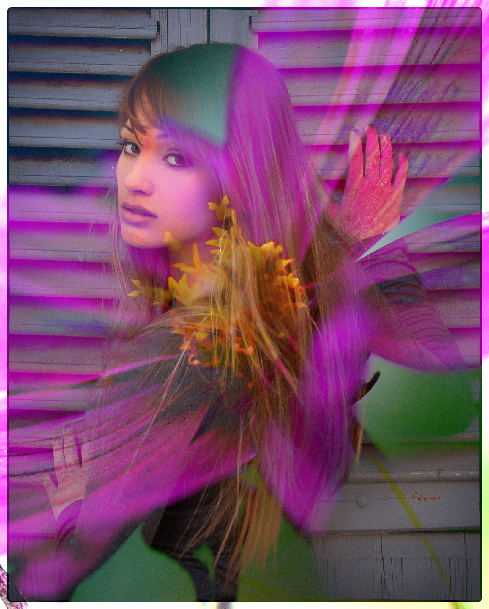 Sony Alpha DSLR-A700 sample photo. Sony dsc photography