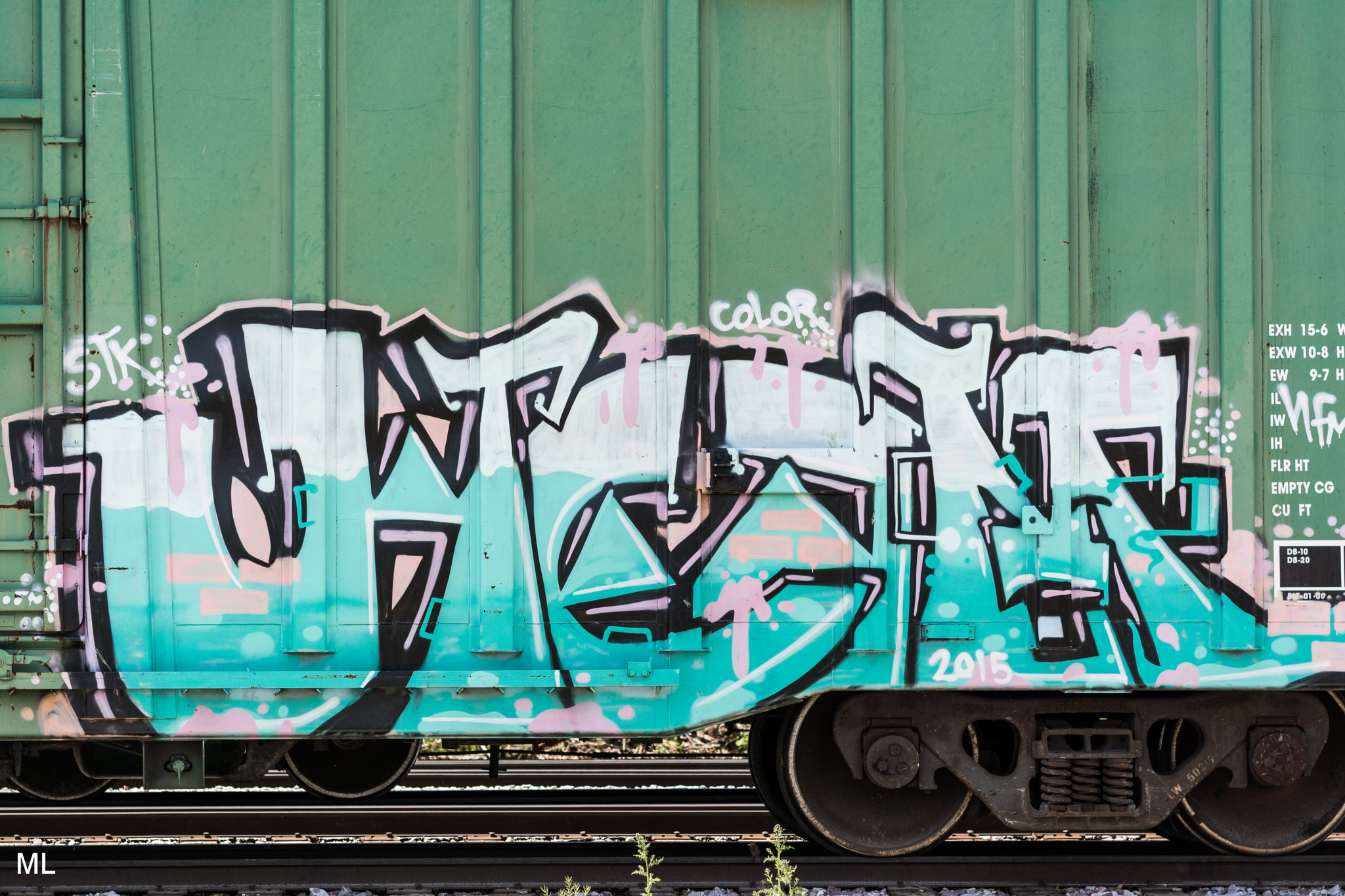 Nikon D5200 + Sigma 85mm F1.4 EX DG HSM sample photo. Traincarart photography