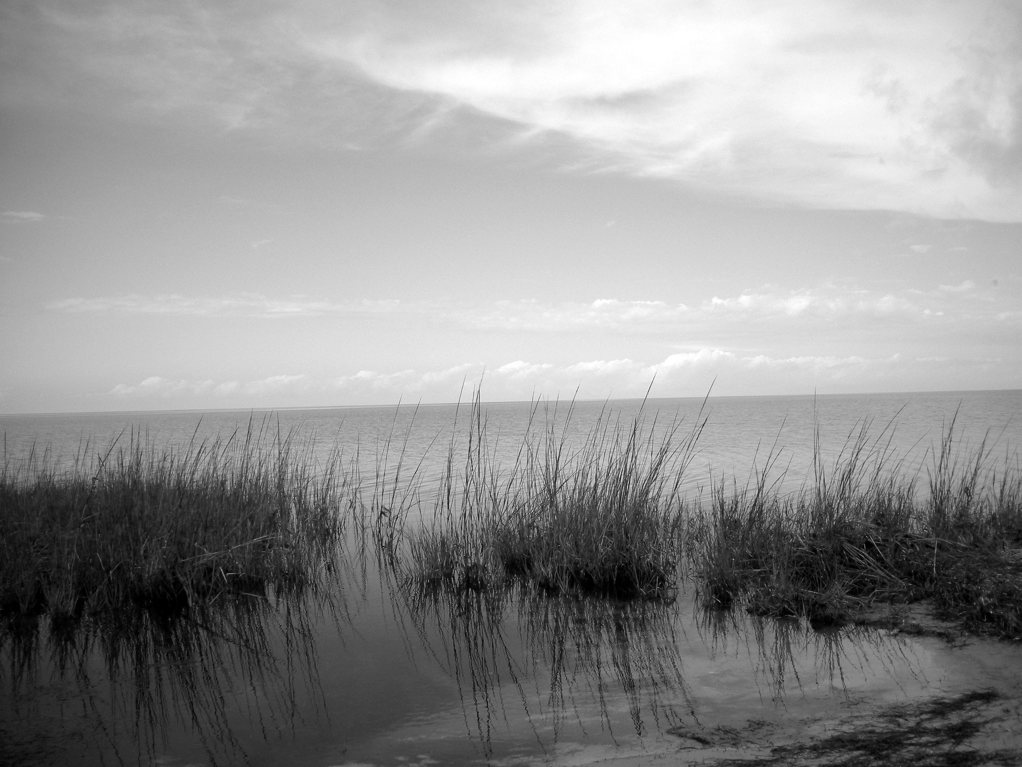 Nikon Coolpix S560 sample photo. Wispy view of the bay photography