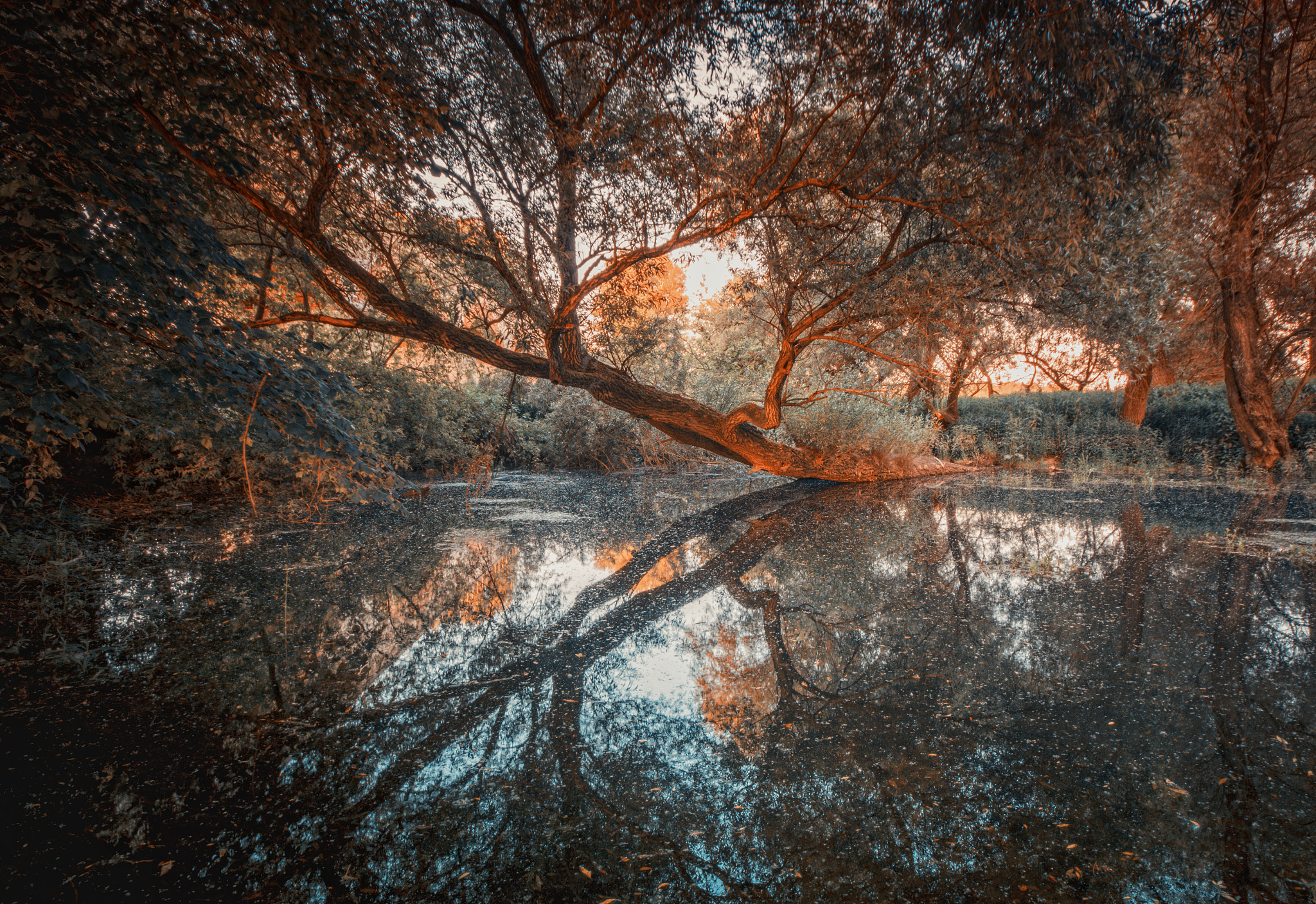 Sigma AF 10-20mm F4-5.6 EX DC sample photo. Reflections photography