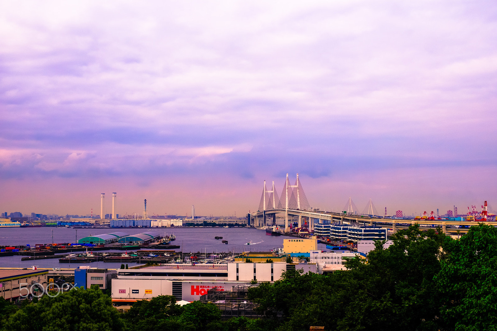 Leica APO-Summicron-M 50mm F2 ASPH sample photo. A view of bay bridge from yamate area photography