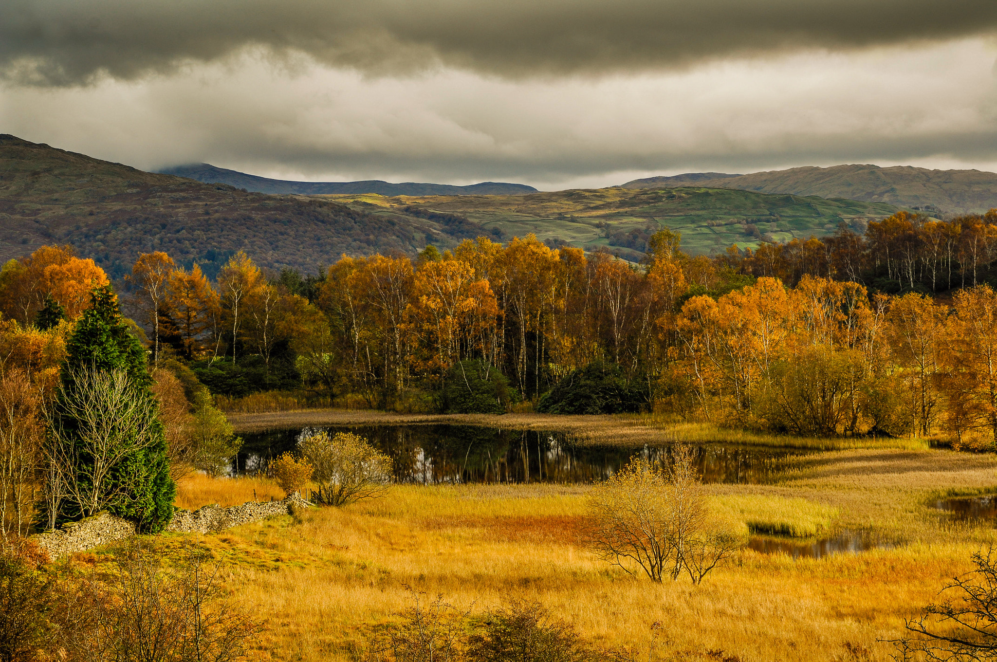 Nikon D2Xs + Sigma 24-70mm F2.8 EX DG Macro sample photo. Autumn in the lakes photography