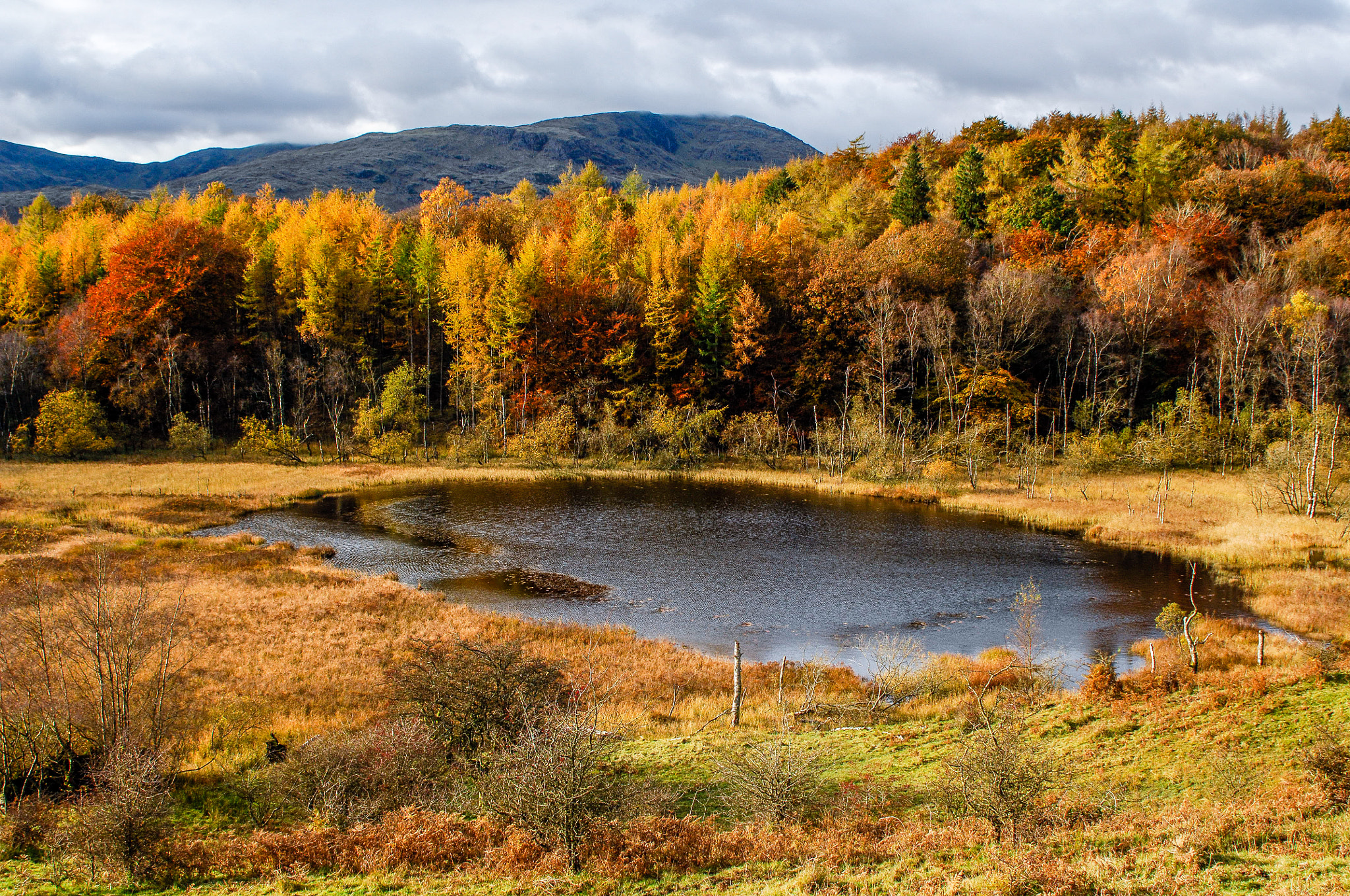 Nikon D2Xs + Sigma 24-70mm F2.8 EX DG Macro sample photo. Autumn in the lakes photography