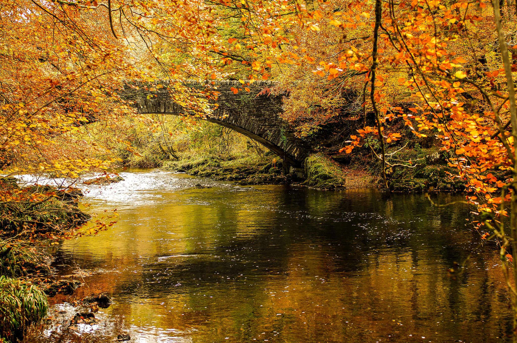 Nikon D2Xs + Sigma 24-70mm F2.8 EX DG Macro sample photo. Autumn in the lakes photography