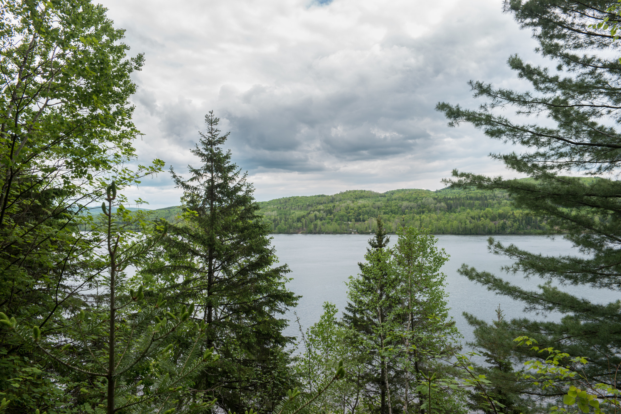 Samsung NX500 + Samsung NX 16mm F2.4 Pancake sample photo. Canada - mauricie national park - lake & forest #5 photography