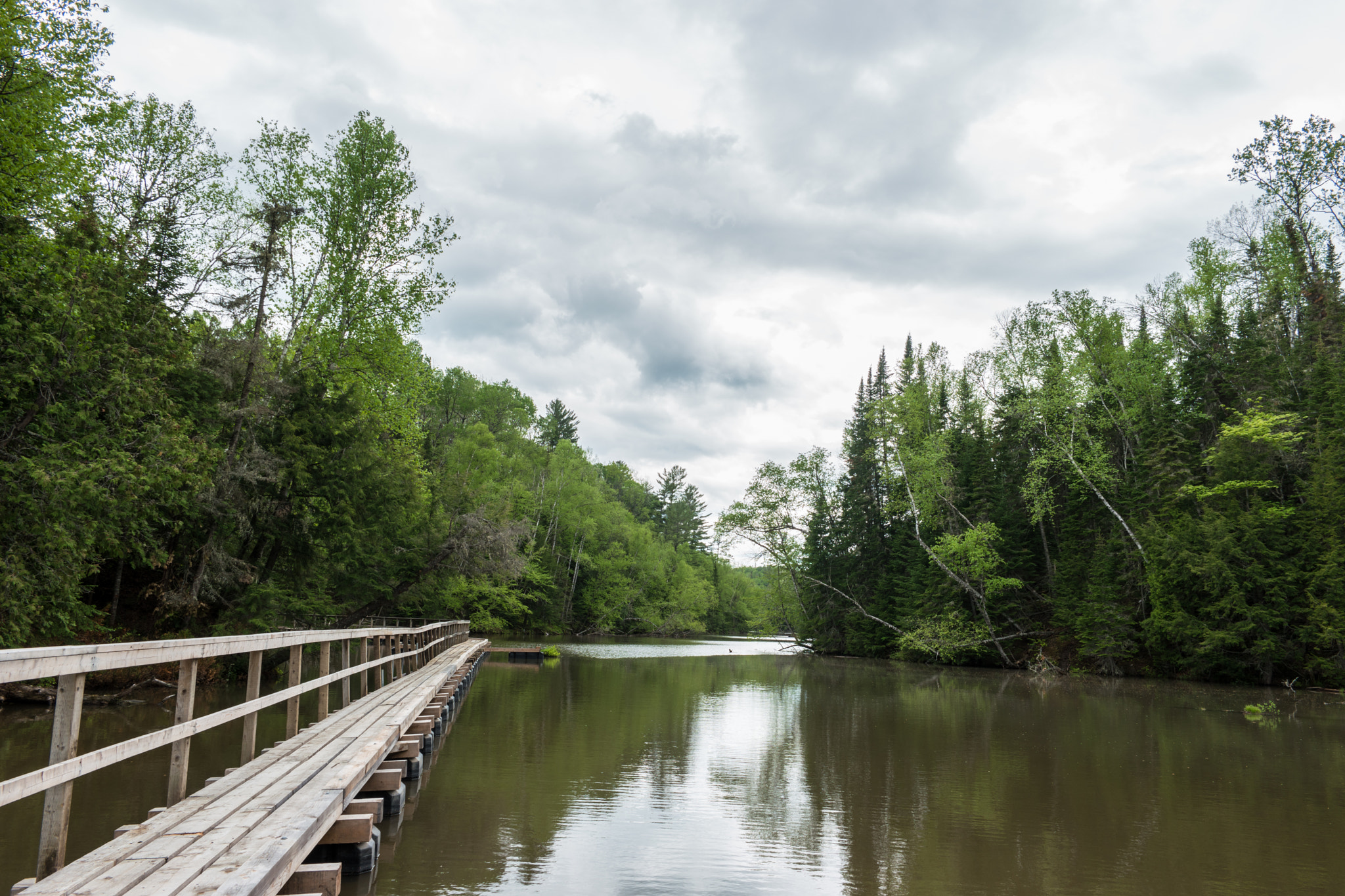 Samsung NX500 + Samsung NX 16mm F2.4 Pancake sample photo. Canada - mauricie national park - lake & forest #6 photography