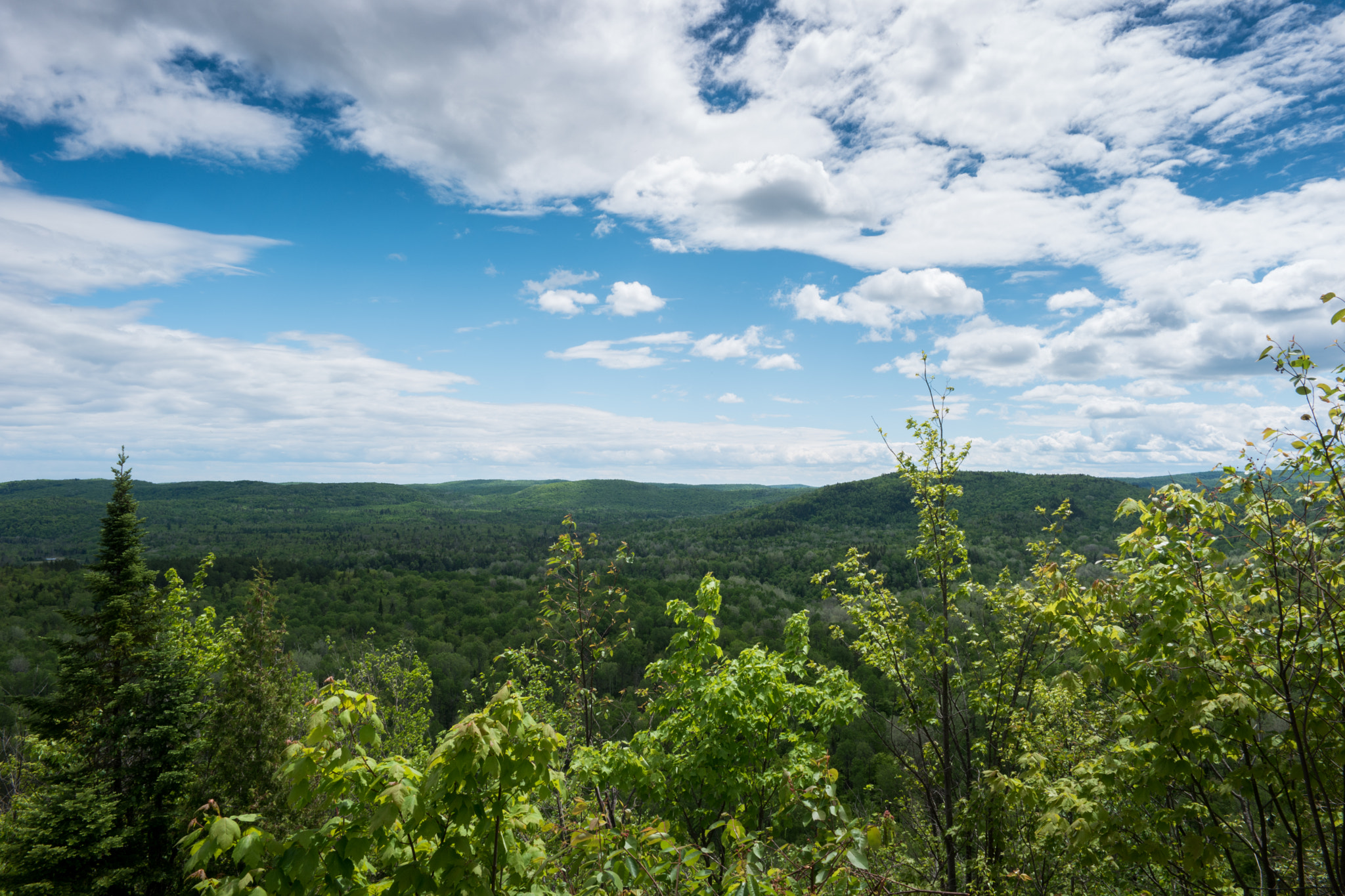 Samsung NX500 + Samsung NX 16mm F2.4 Pancake sample photo. Canada - mauricie national park - forest #4 photography