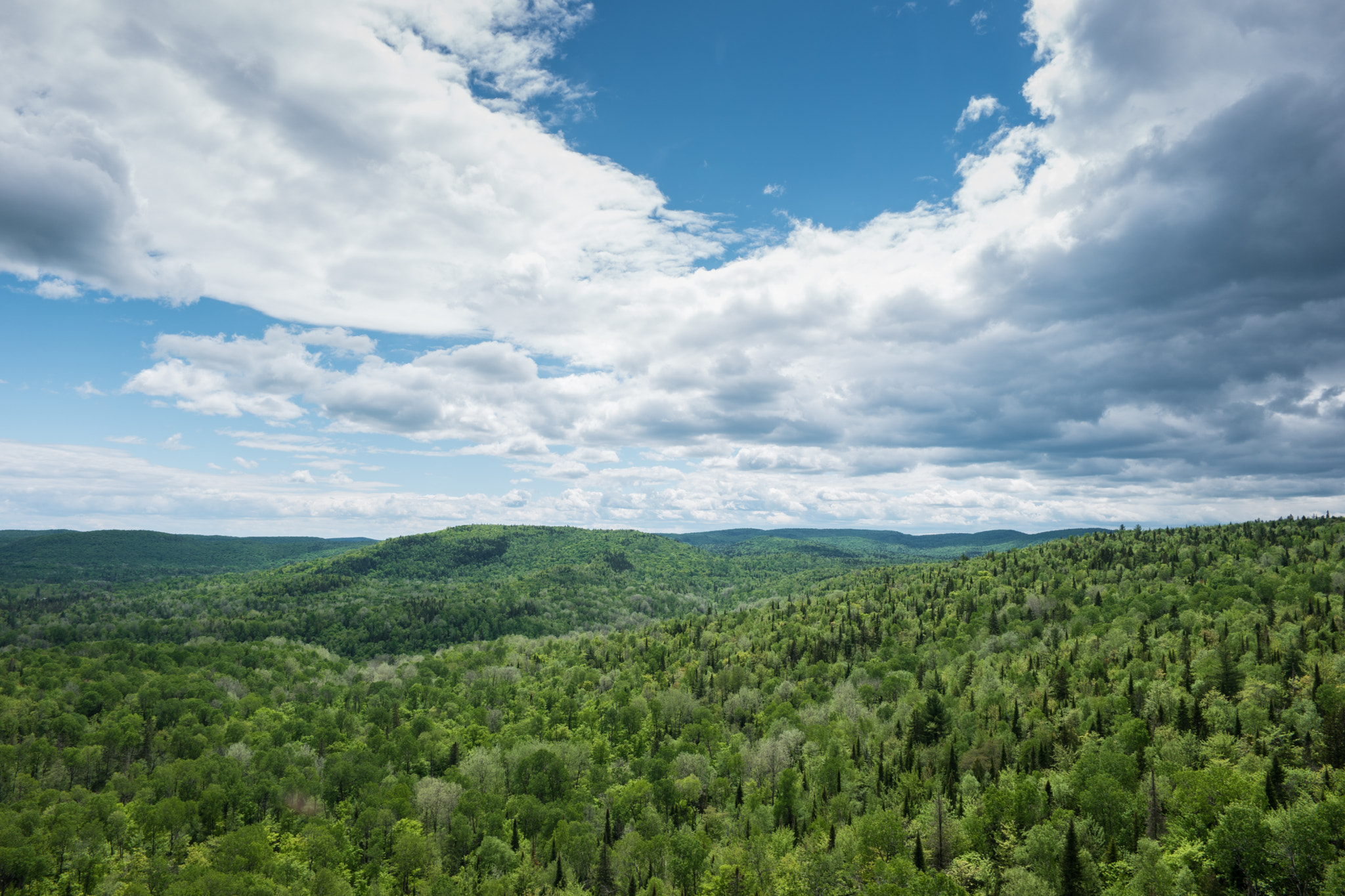 Samsung NX 16mm F2.4 Pancake sample photo. Canada - mauricie national park - forest #5 photography