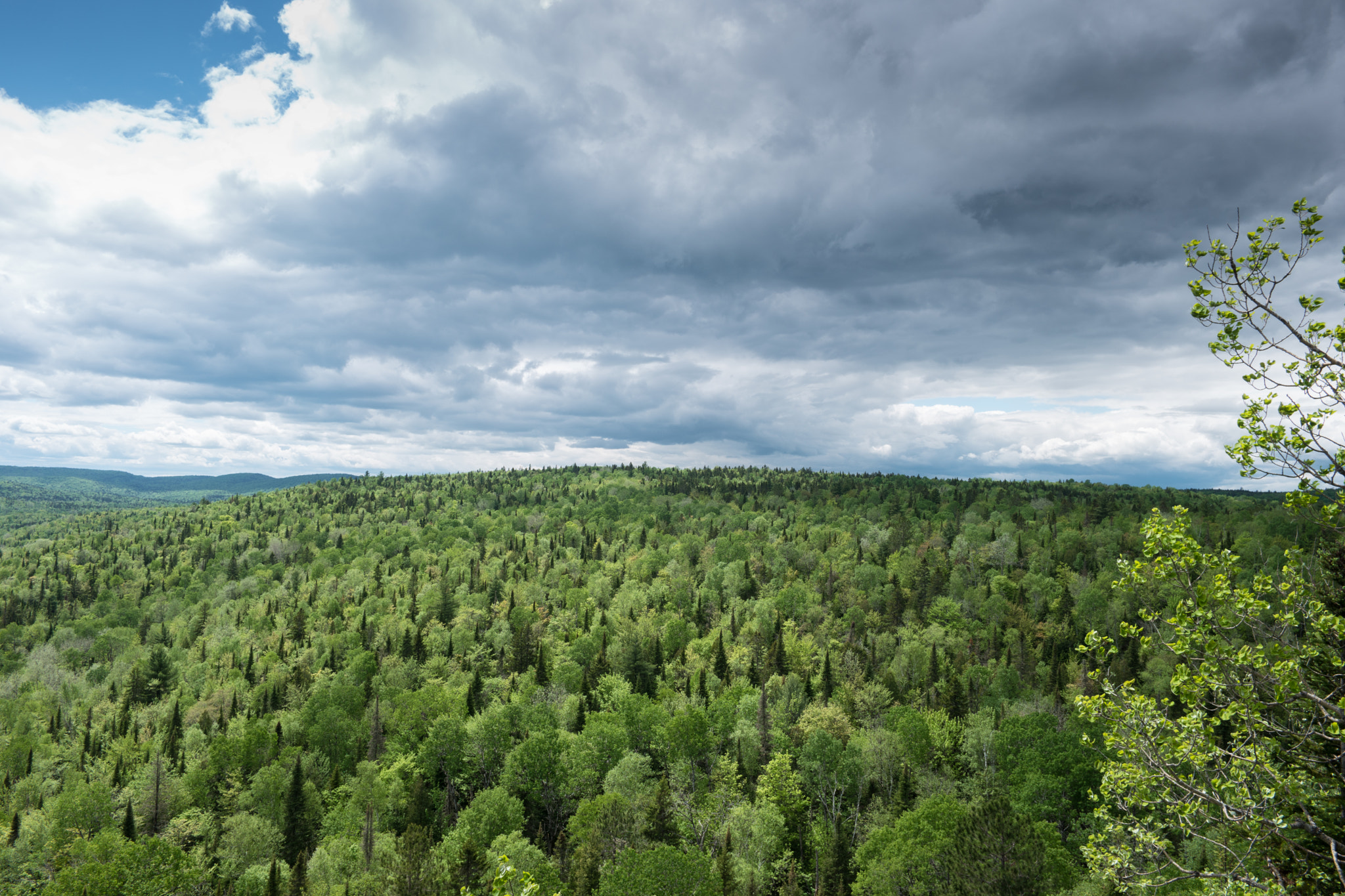 Samsung NX500 + Samsung NX 16mm F2.4 Pancake sample photo. Canada - mauricie national park - forest #6 photography