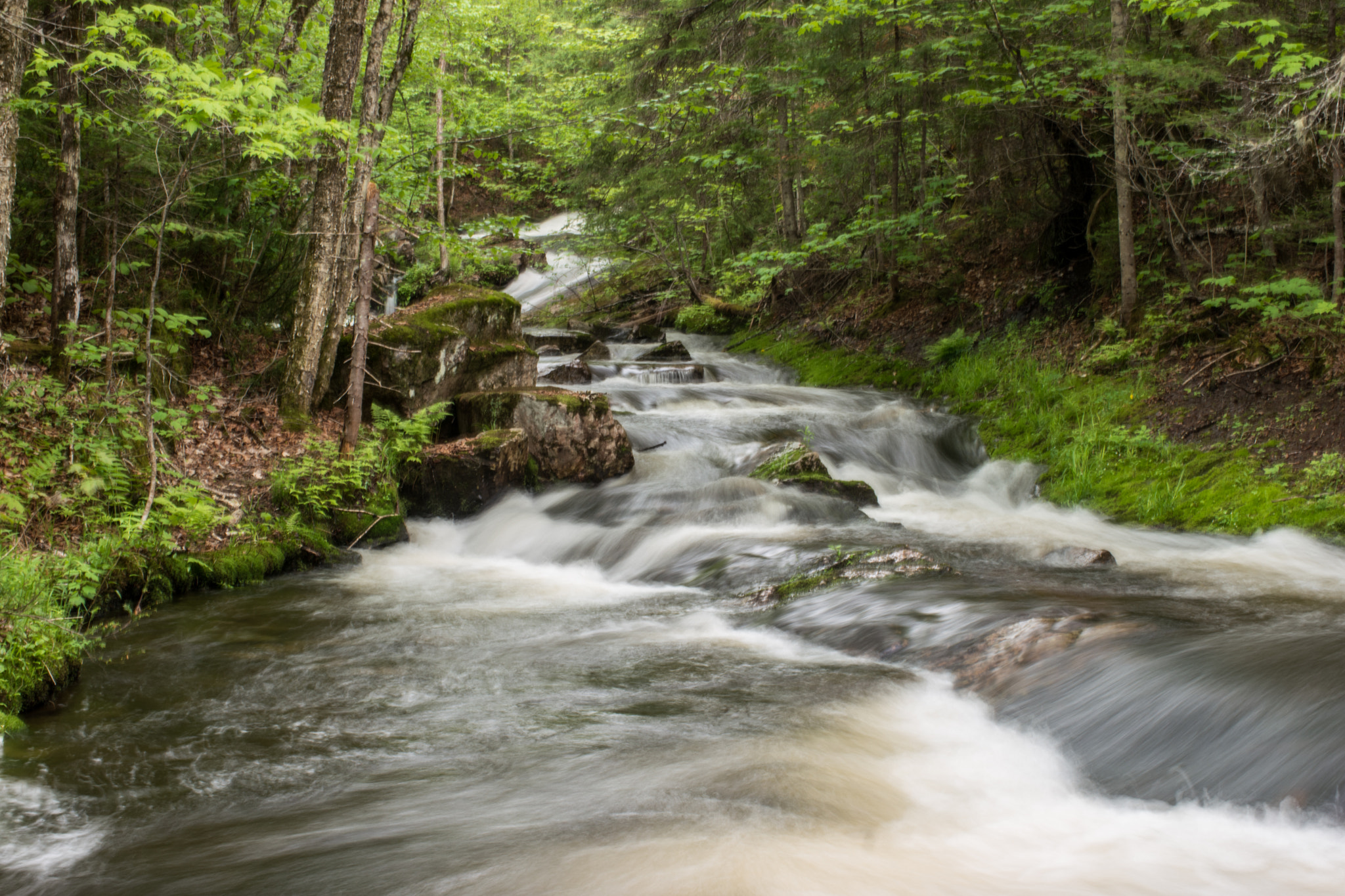 Samsung NX500 + Samsung NX 45mm F1.8 sample photo. Canada - mauricie national park - river & forest photography