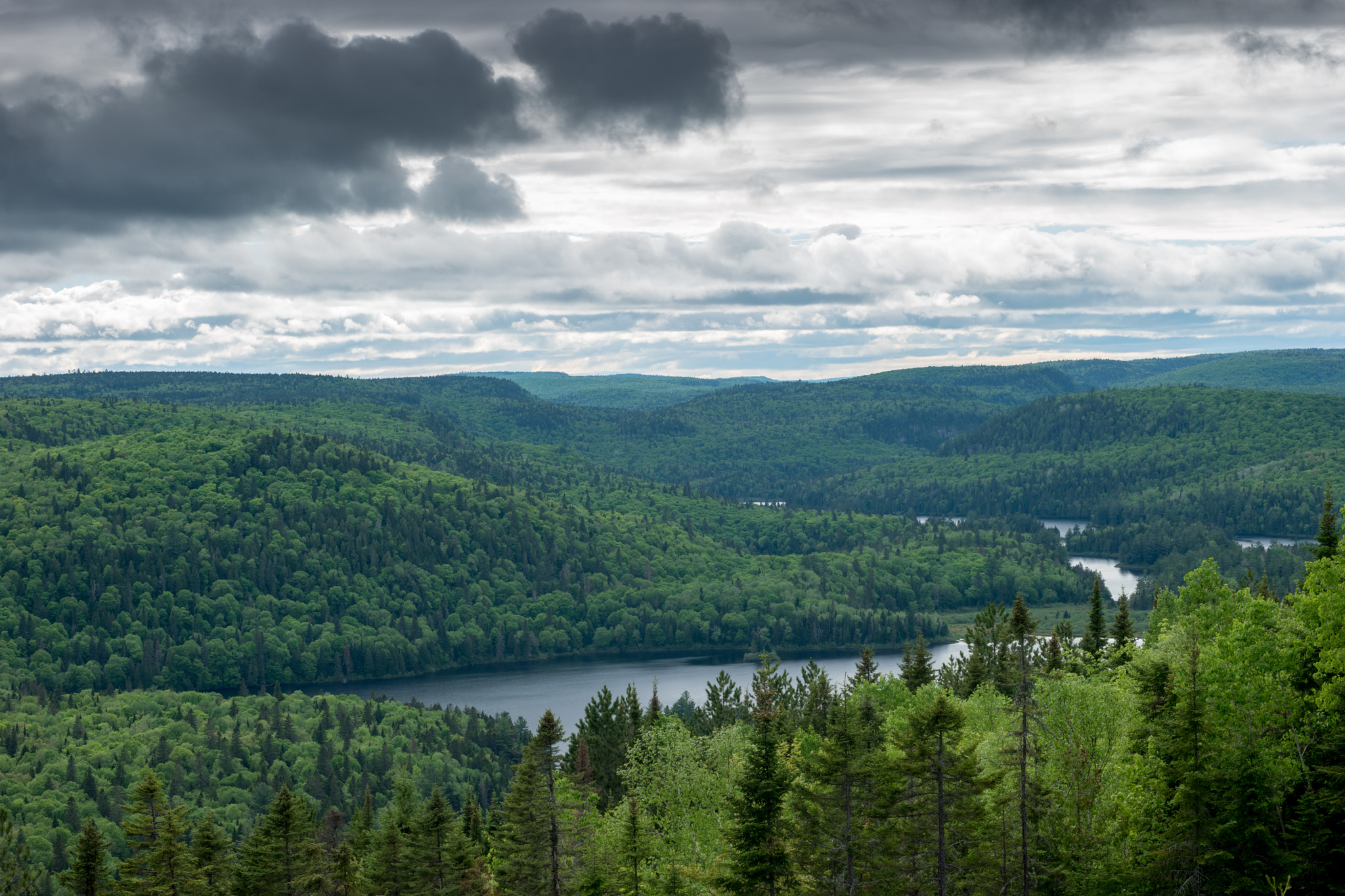 Samsung NX500 + Samsung NX 45mm F1.8 sample photo. Canada - mauricie national park - lake & forest #1 photography