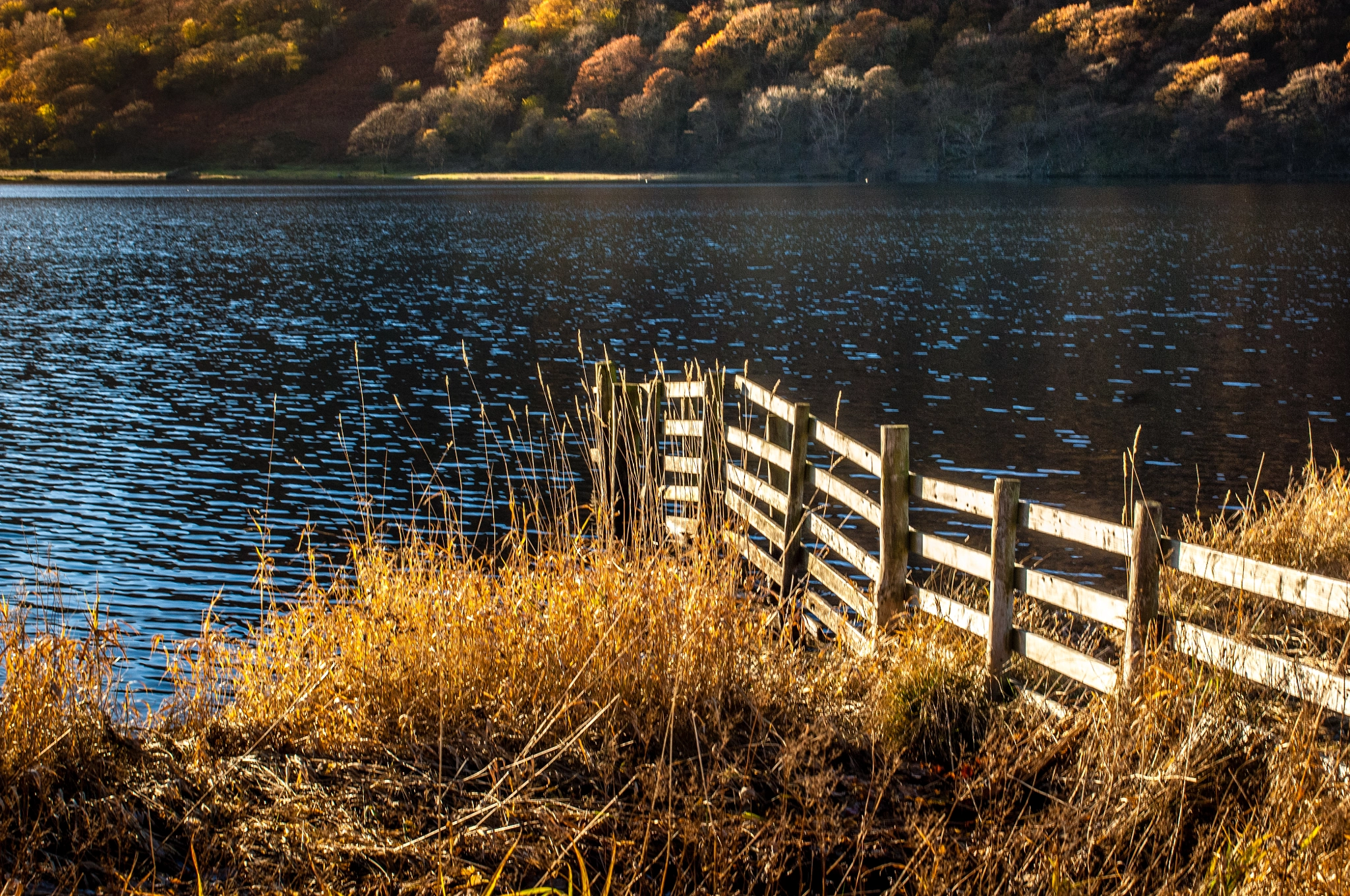 Nikon D2Xs + Sigma 24-70mm F2.8 EX DG Macro sample photo. Ullswater photography