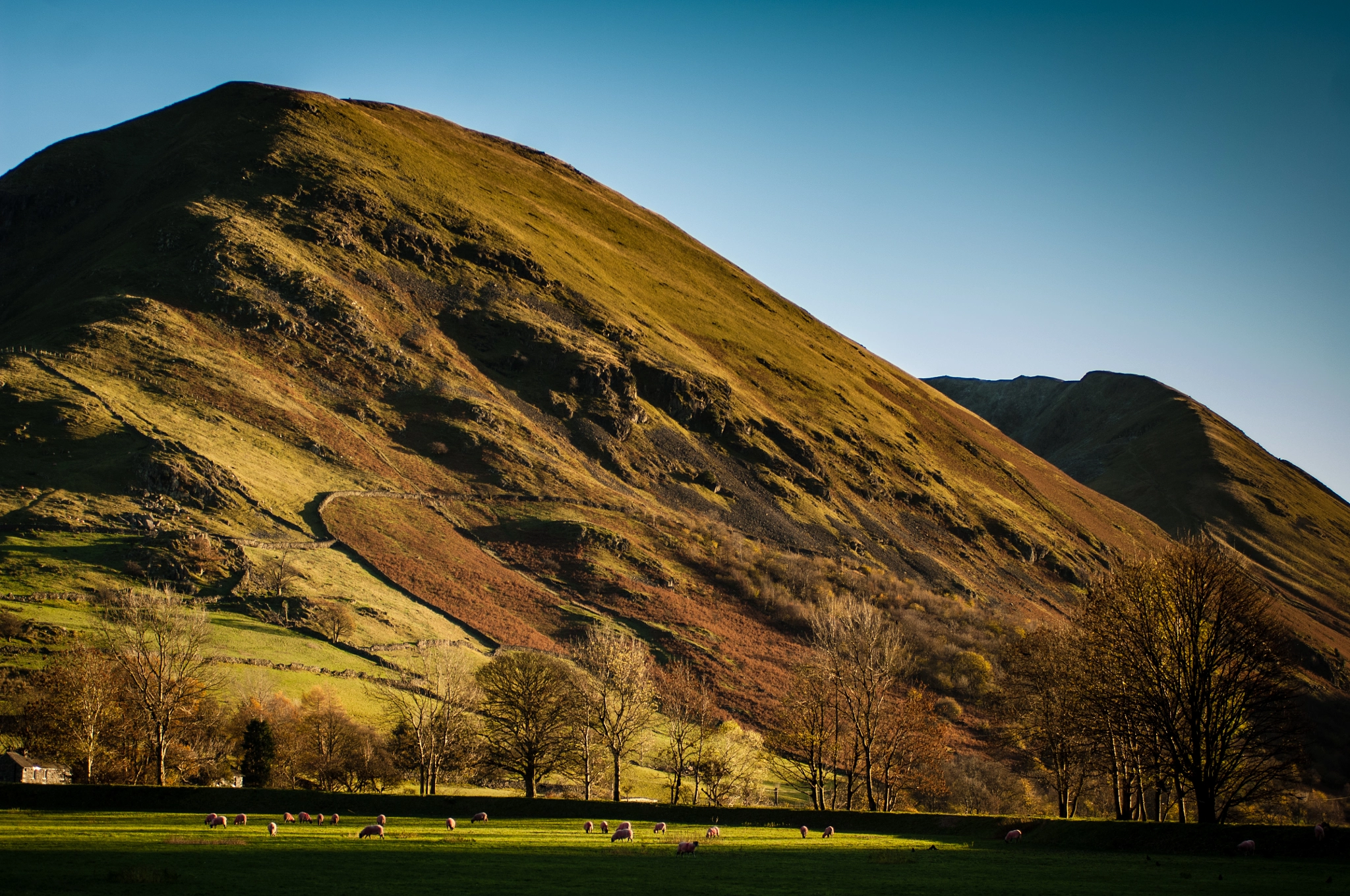 Nikon D2Xs + Sigma 24-70mm F2.8 EX DG Macro sample photo. Ullswater photography