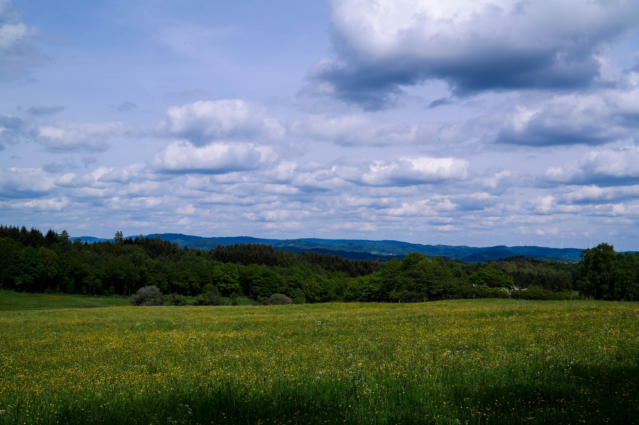 Saumsun NX 16-50mm F2-2.8 S ED OIS sample photo. Spring field photography