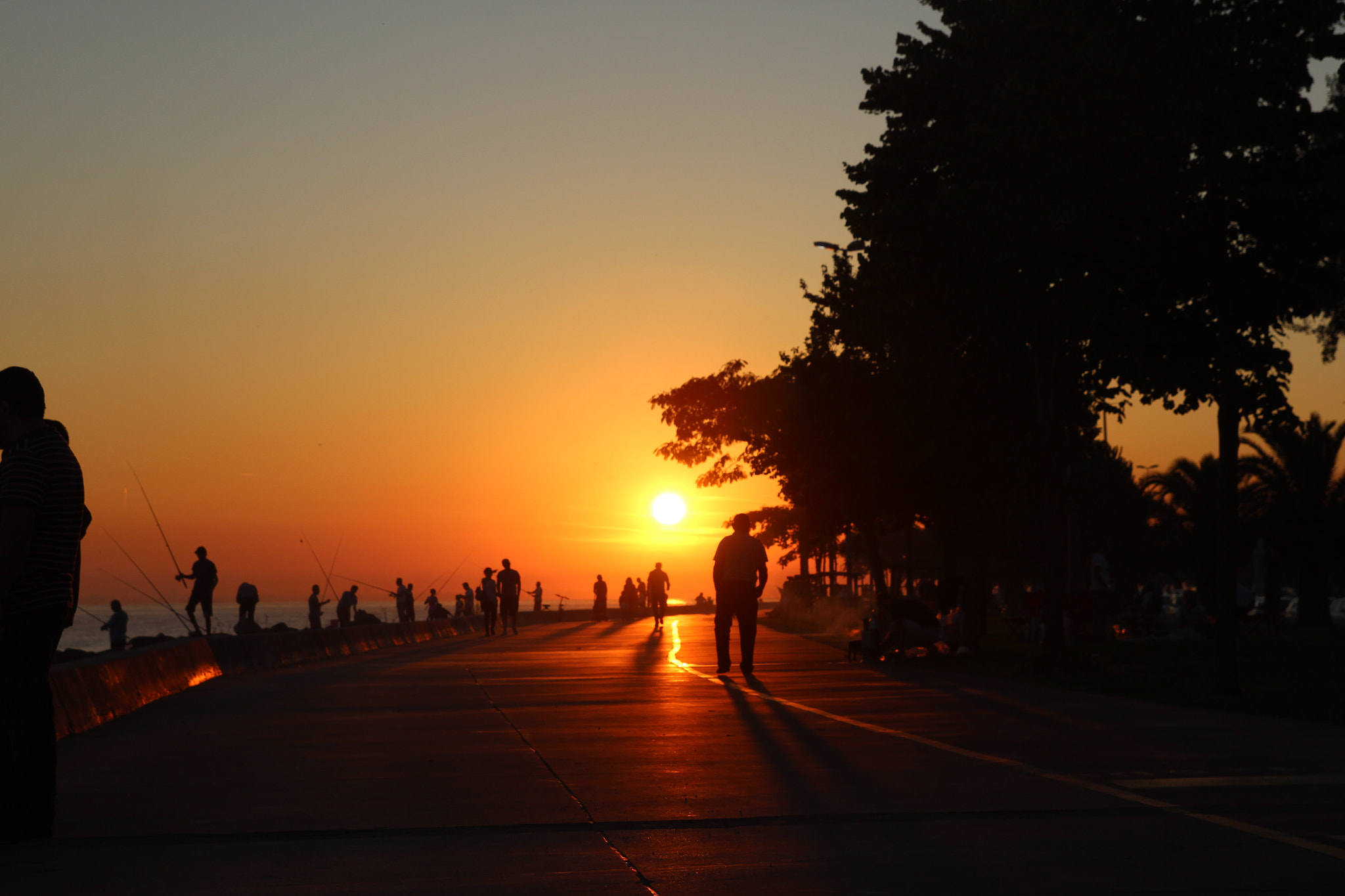 Tamron SP AF 17-50mm F2.8 XR Di II LD Aspherical (IF) sample photo. Dragos  photography
