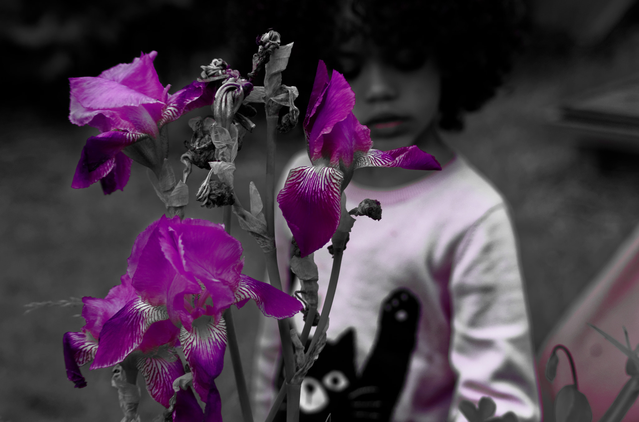 Pentax K-x sample photo. Flowers and girl photography