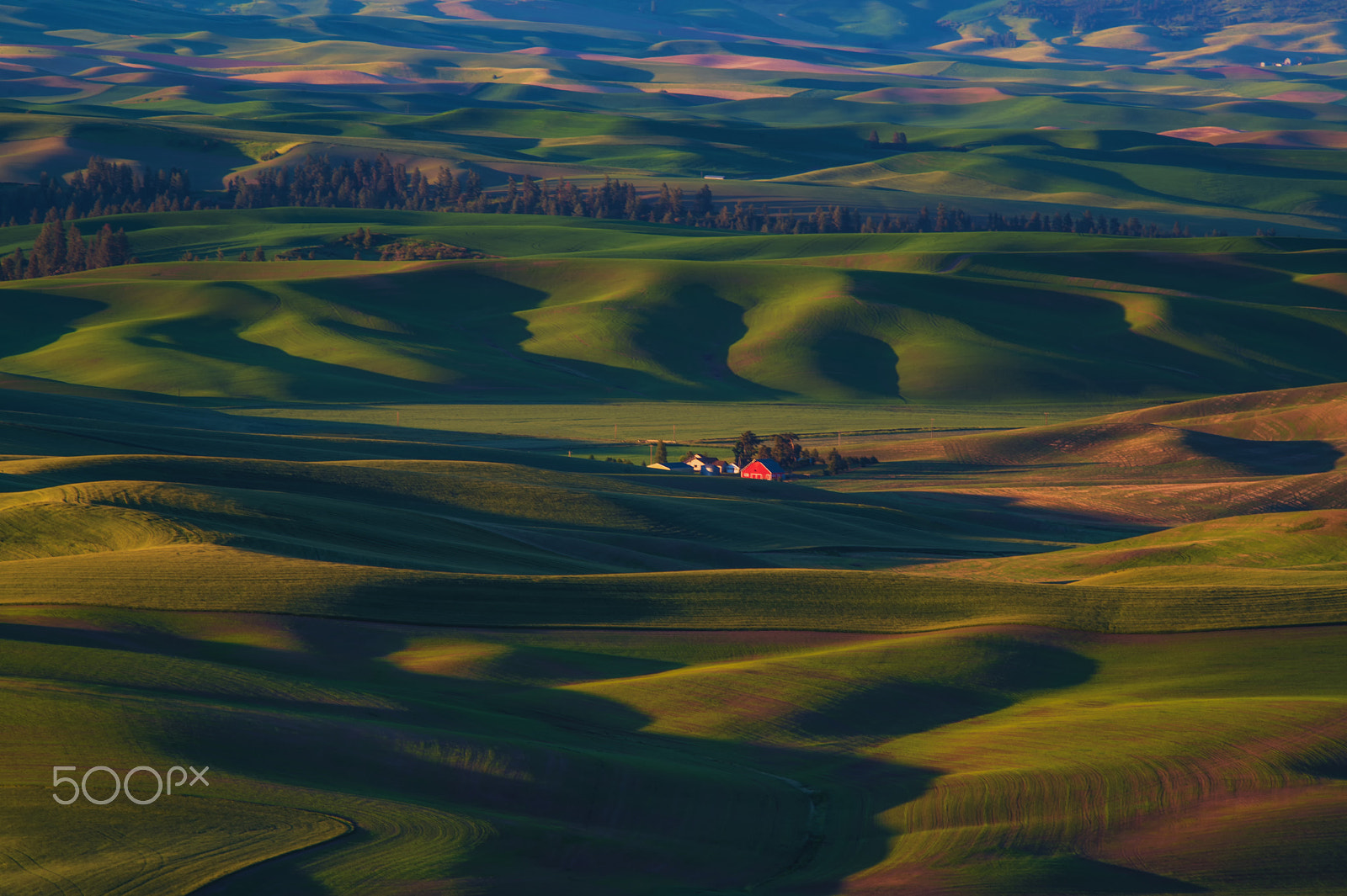 Nikon Nikkor AF-S 300mm F4E PF ED VR sample photo. Voluptuous palouse photography
