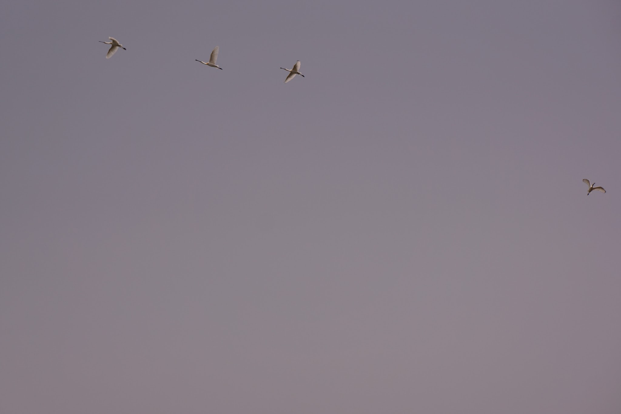 Sony E 18-55mm F3.5-5.6 OSS sample photo. In flight photography