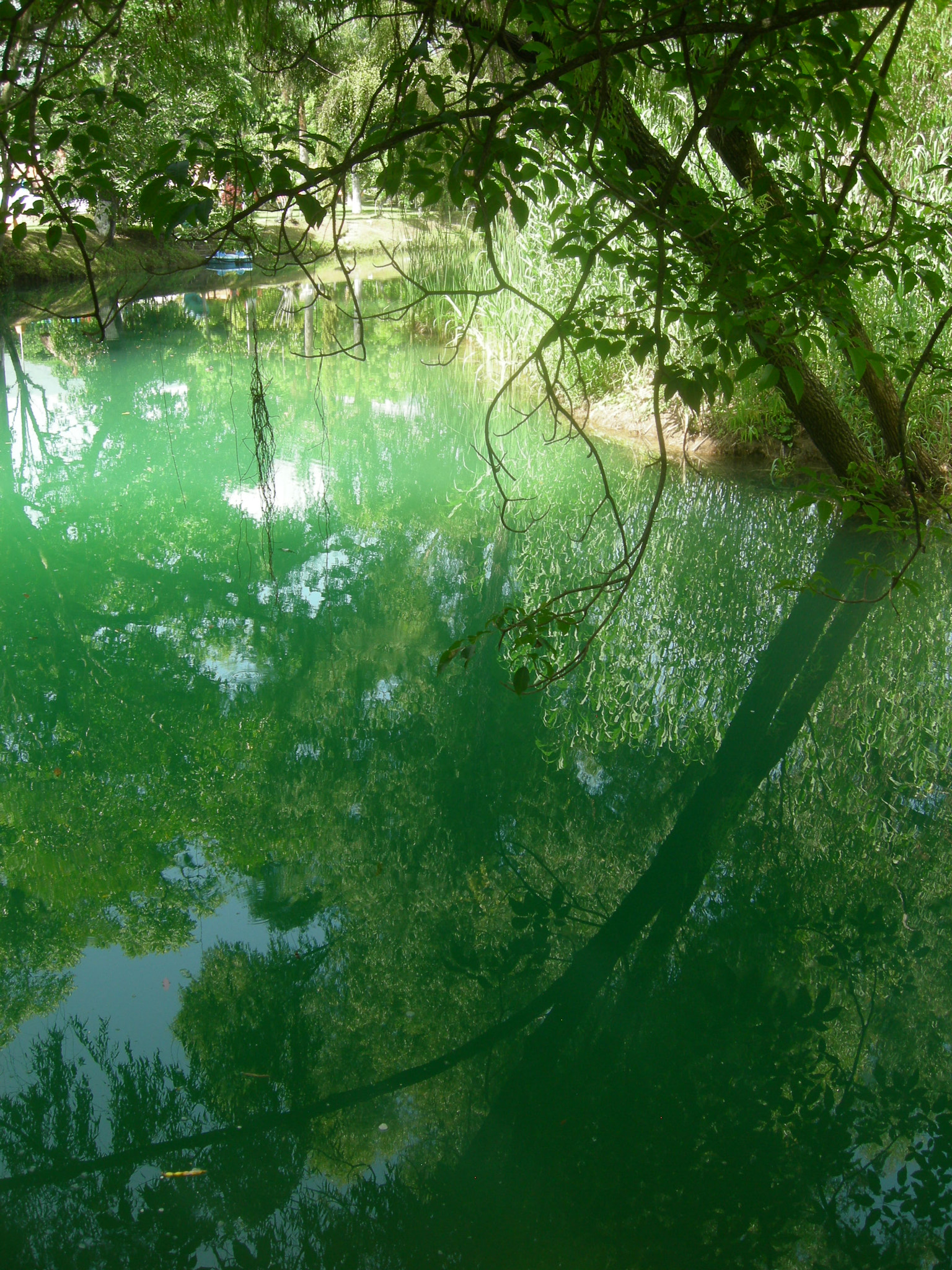 Nikon COOLPIX P1 sample photo. La huasteca potosina photography