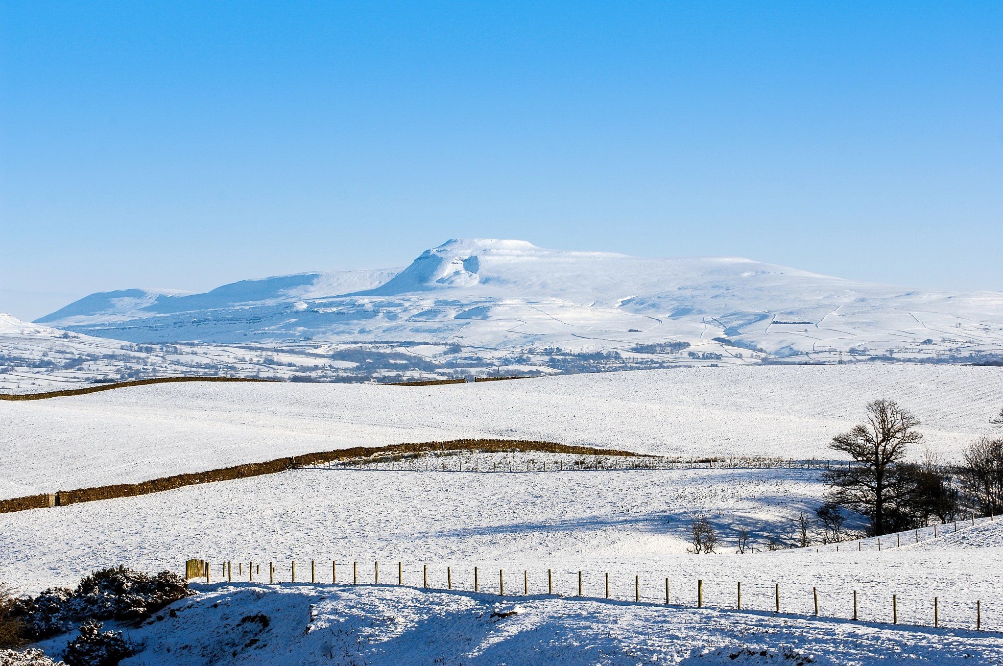 Nikon D2Xs sample photo. Yorkshire photography