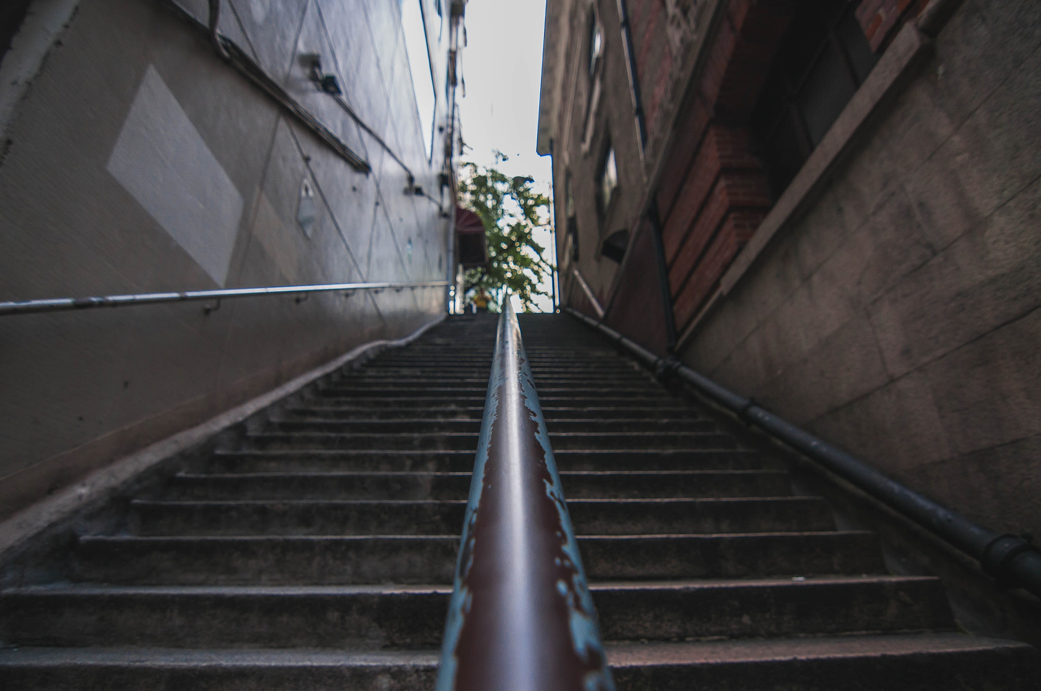 Nikon D300S sample photo. Going up photography
