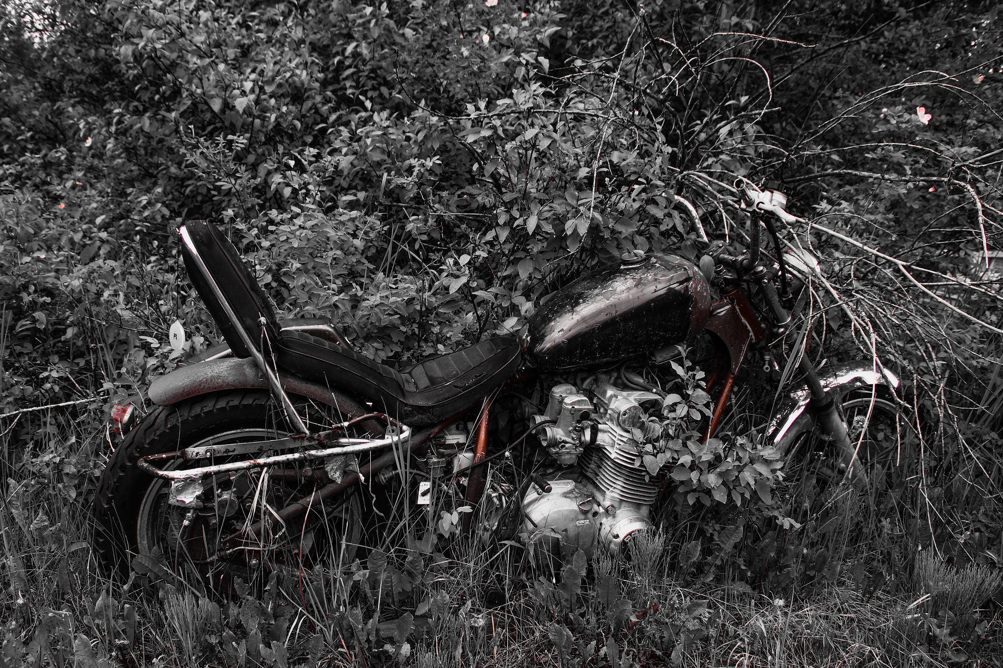 Canon 17-50mm sample photo. Abandoned harley photography