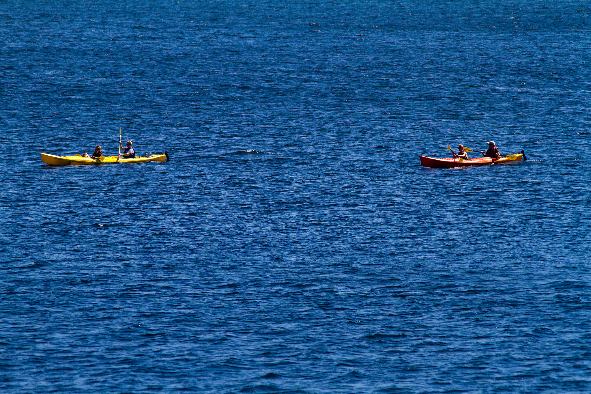 Canon EF 75-300mm F4.0-5.6 IS USM sample photo