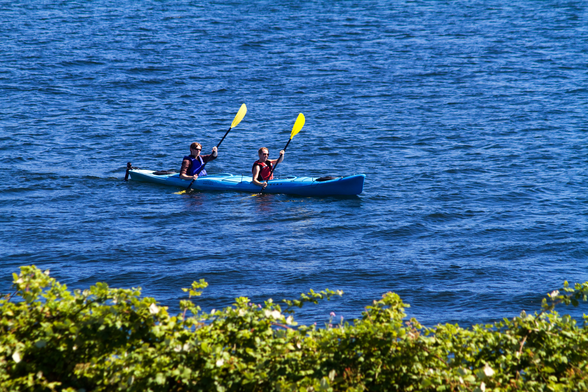 Canon EF 75-300mm F4.0-5.6 IS USM sample photo