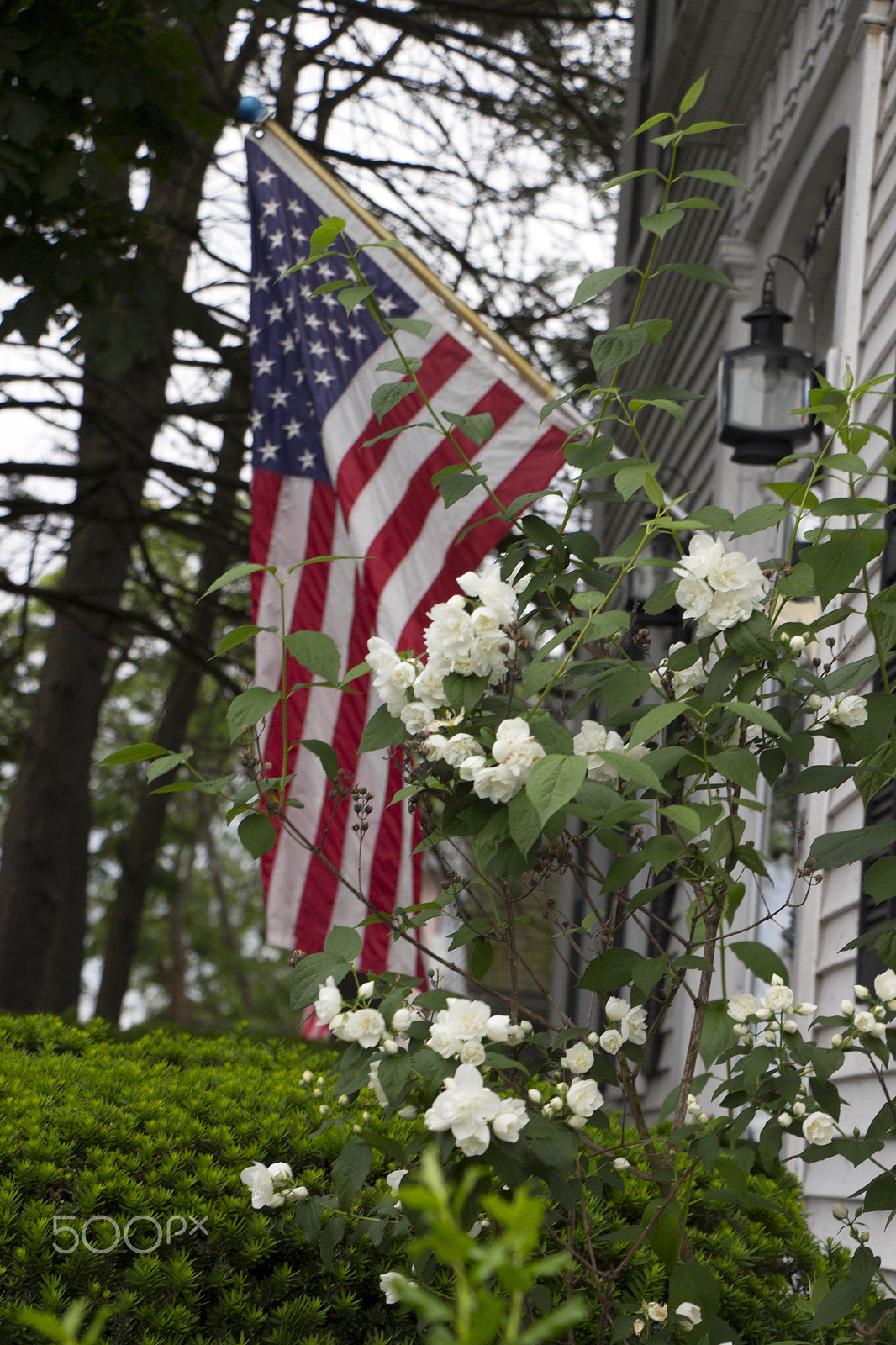 Canon EOS M sample photo. American beauty photography