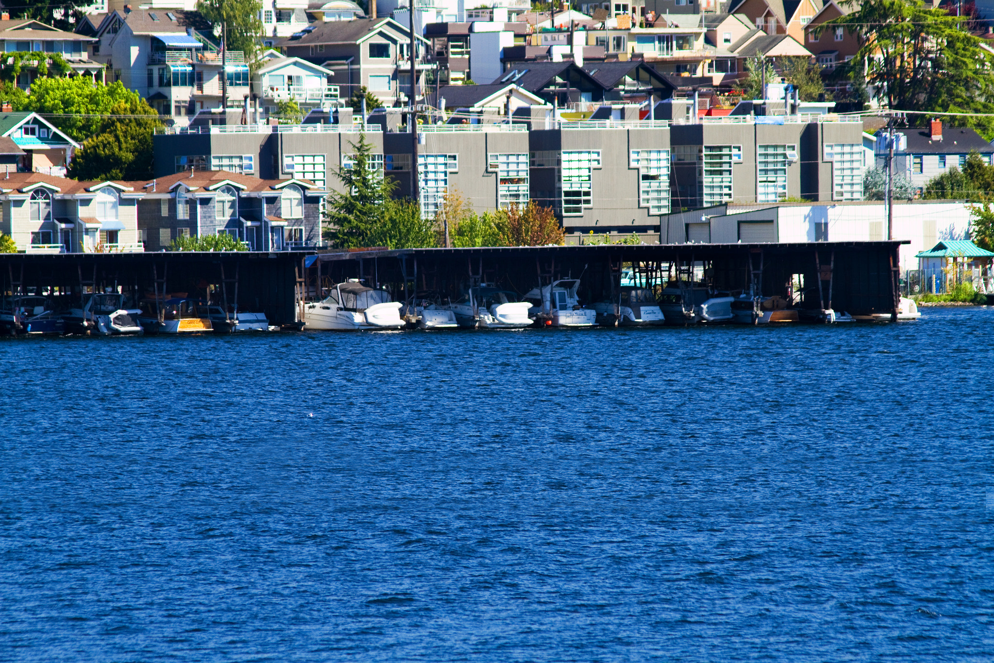 Canon EF 75-300mm F4.0-5.6 IS USM sample photo
