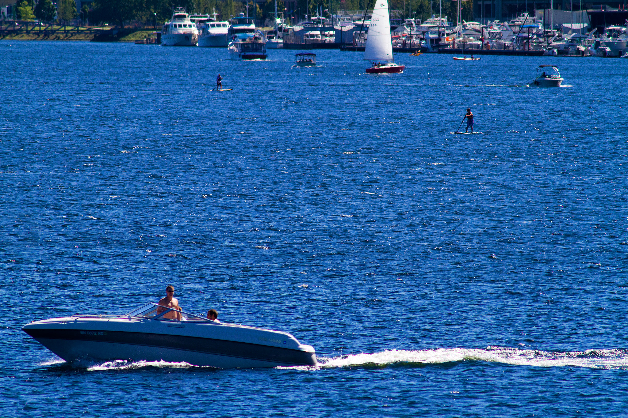 Canon EF 75-300mm F4.0-5.6 IS USM sample photo