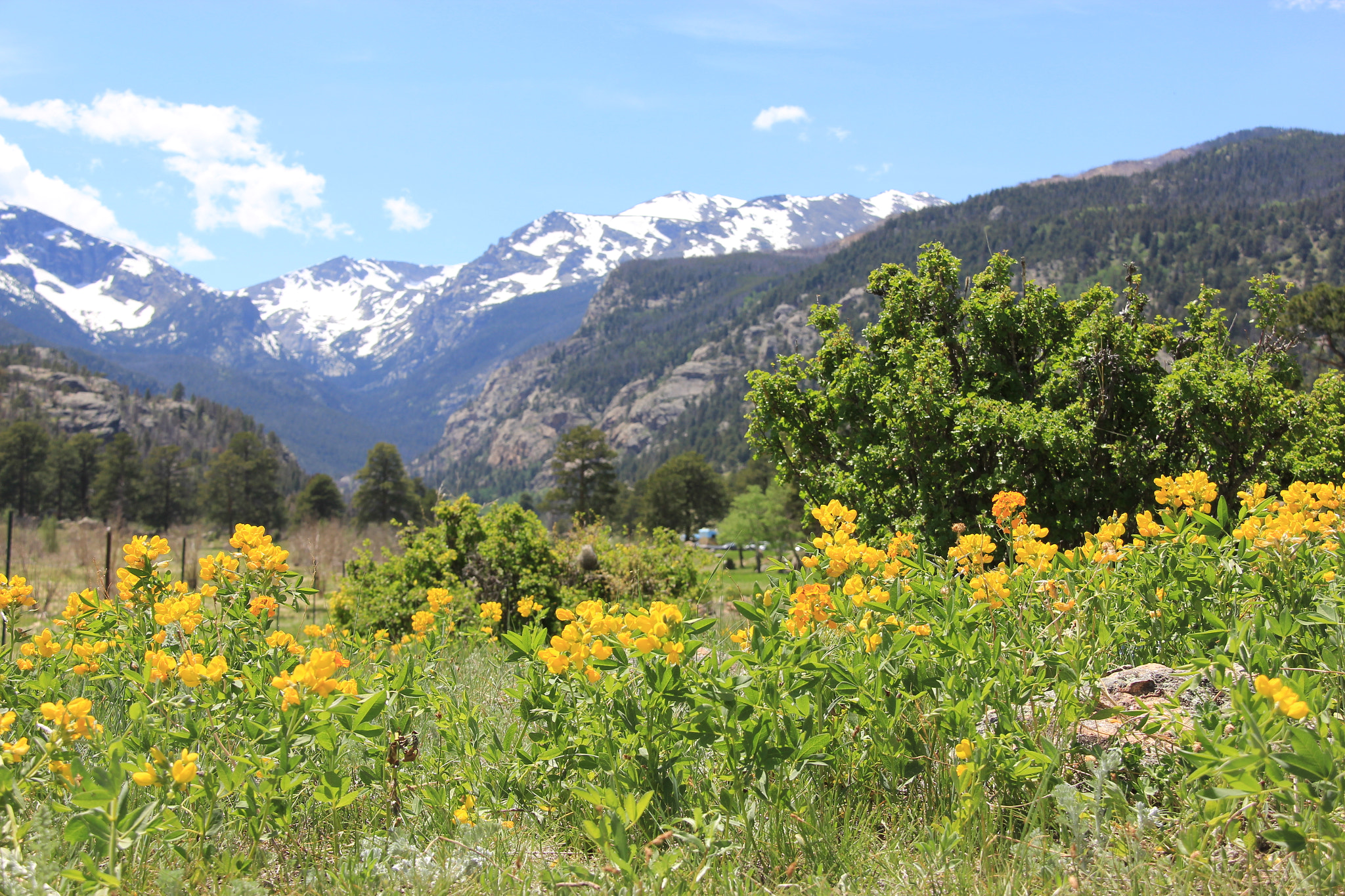 Canon EOS 550D (EOS Rebel T2i / EOS Kiss X4) sample photo. Summer in the rockies photography