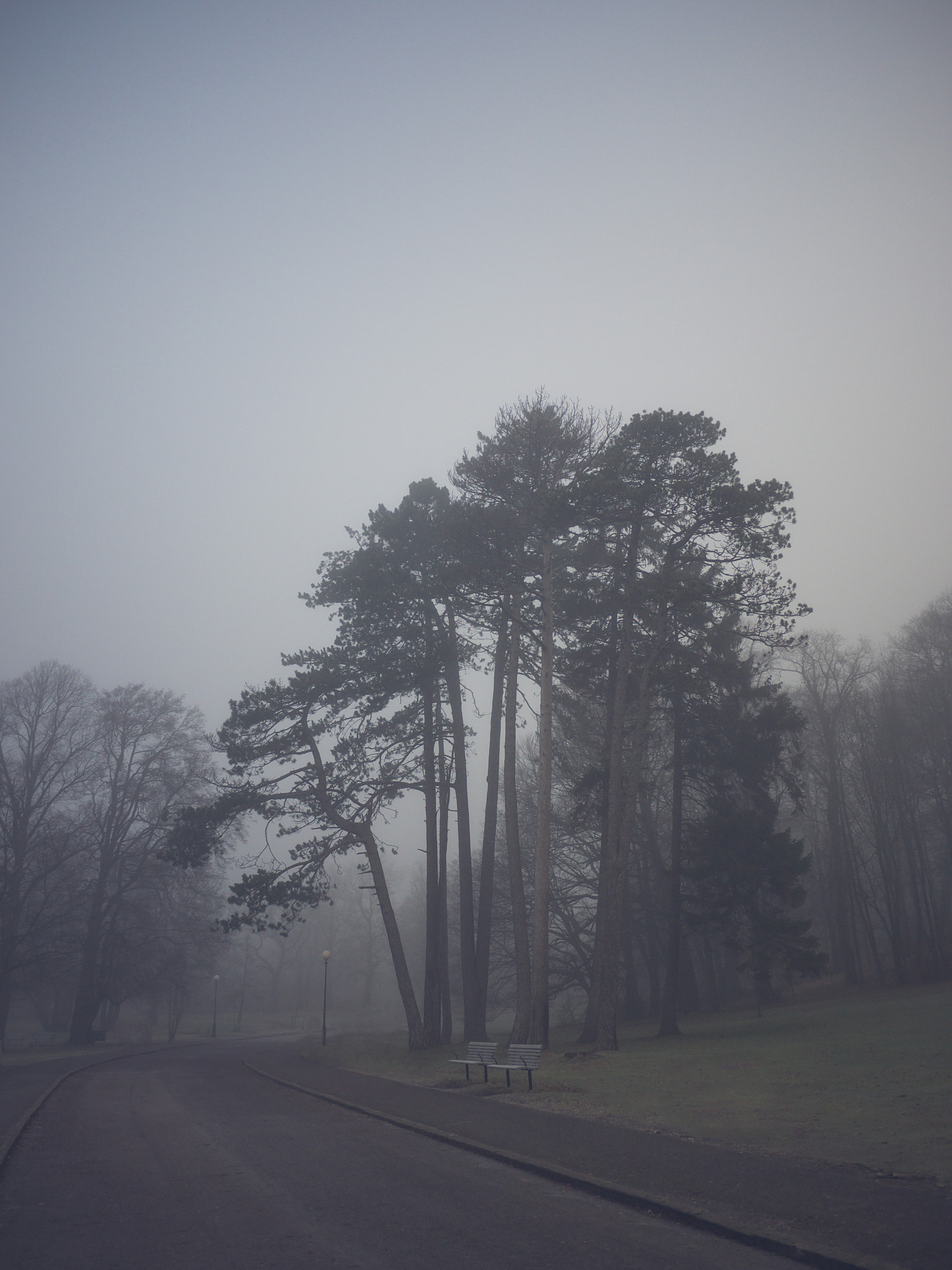 Panasonic Lumix DMC-GF3 + Panasonic Lumix G 14mm F2.5 ASPH sample photo. Misty morning photography