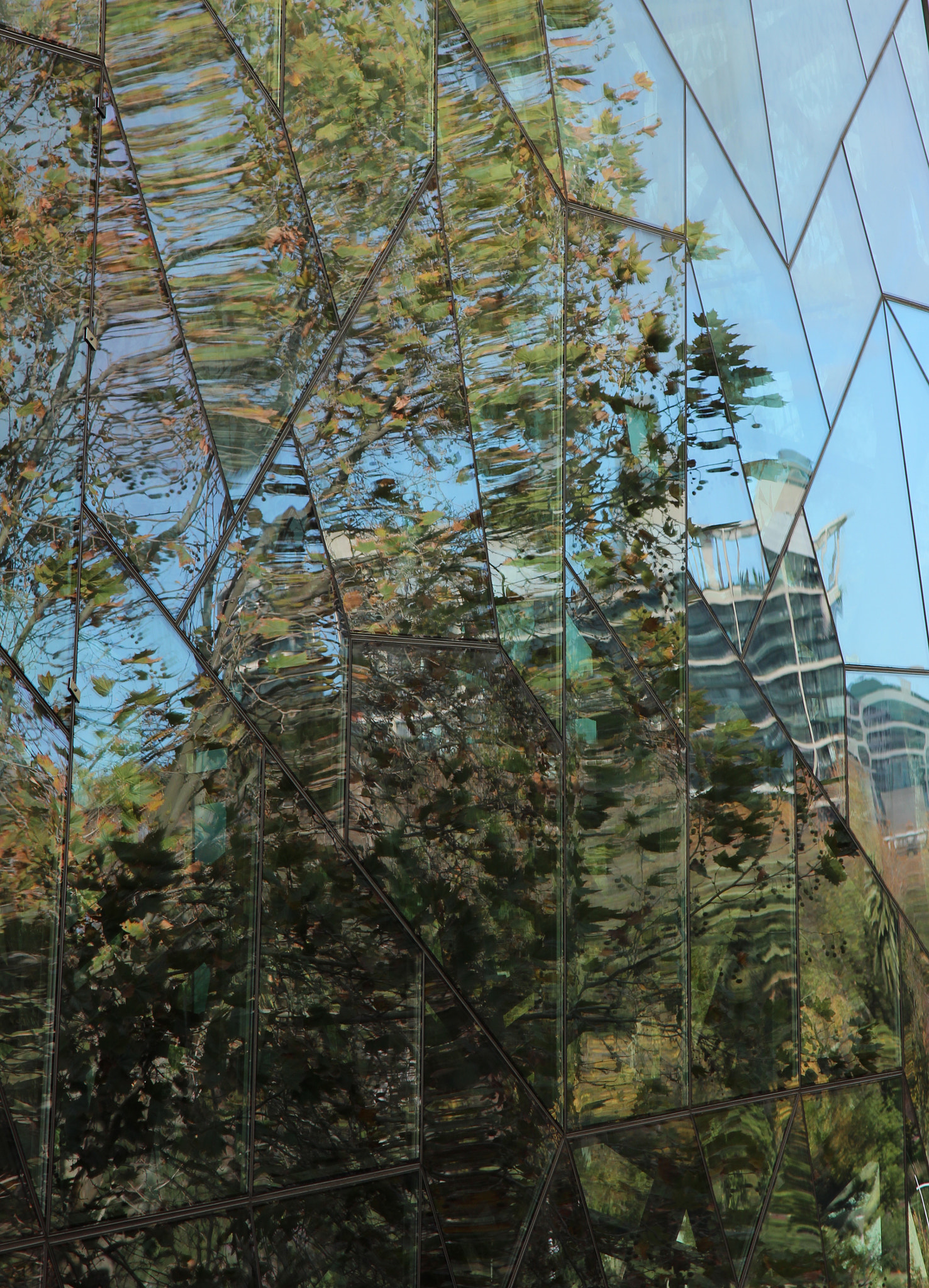 Canon EOS 600D (Rebel EOS T3i / EOS Kiss X5) sample photo. Reflections. in melbourne city photography
