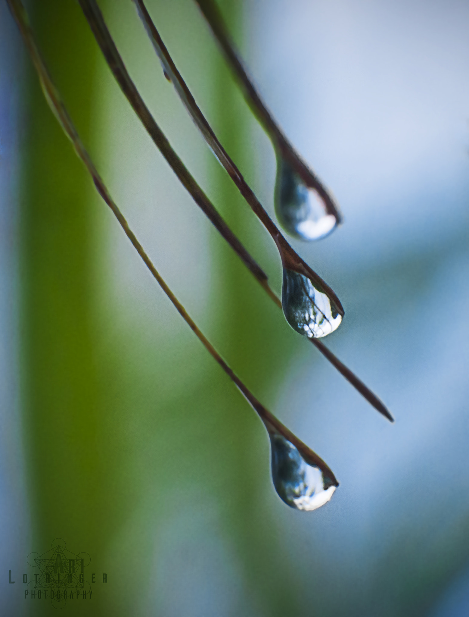 Panasonic Lumix DMC-G7 sample photo. Drops of calmness... photography