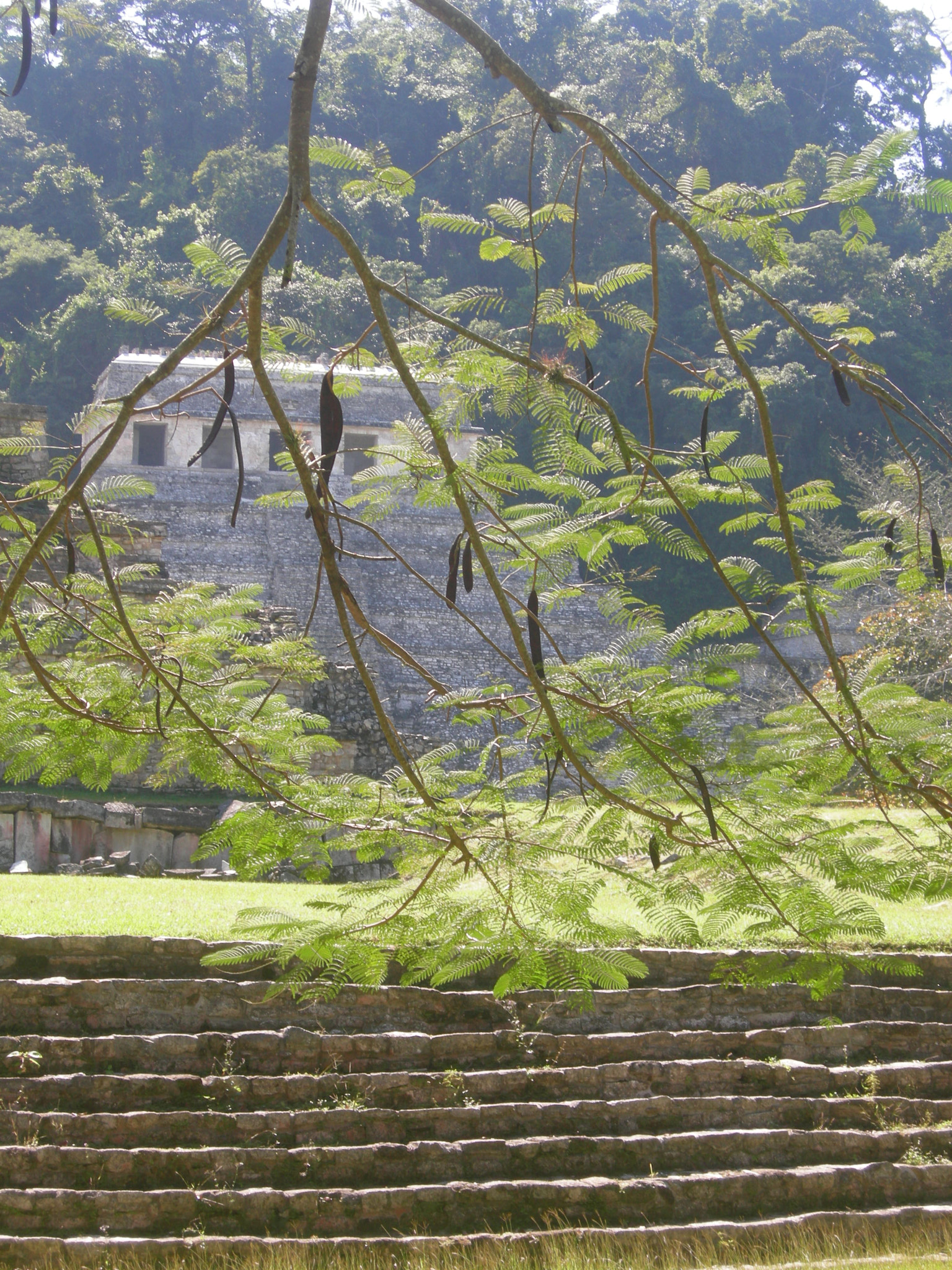 Nikon COOLPIX P1 sample photo. Palenque photography