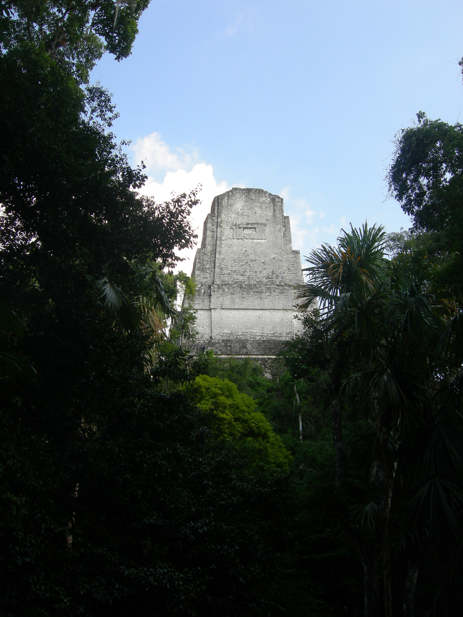 Nikon COOLPIX P1 sample photo. Tikal jaguar photography
