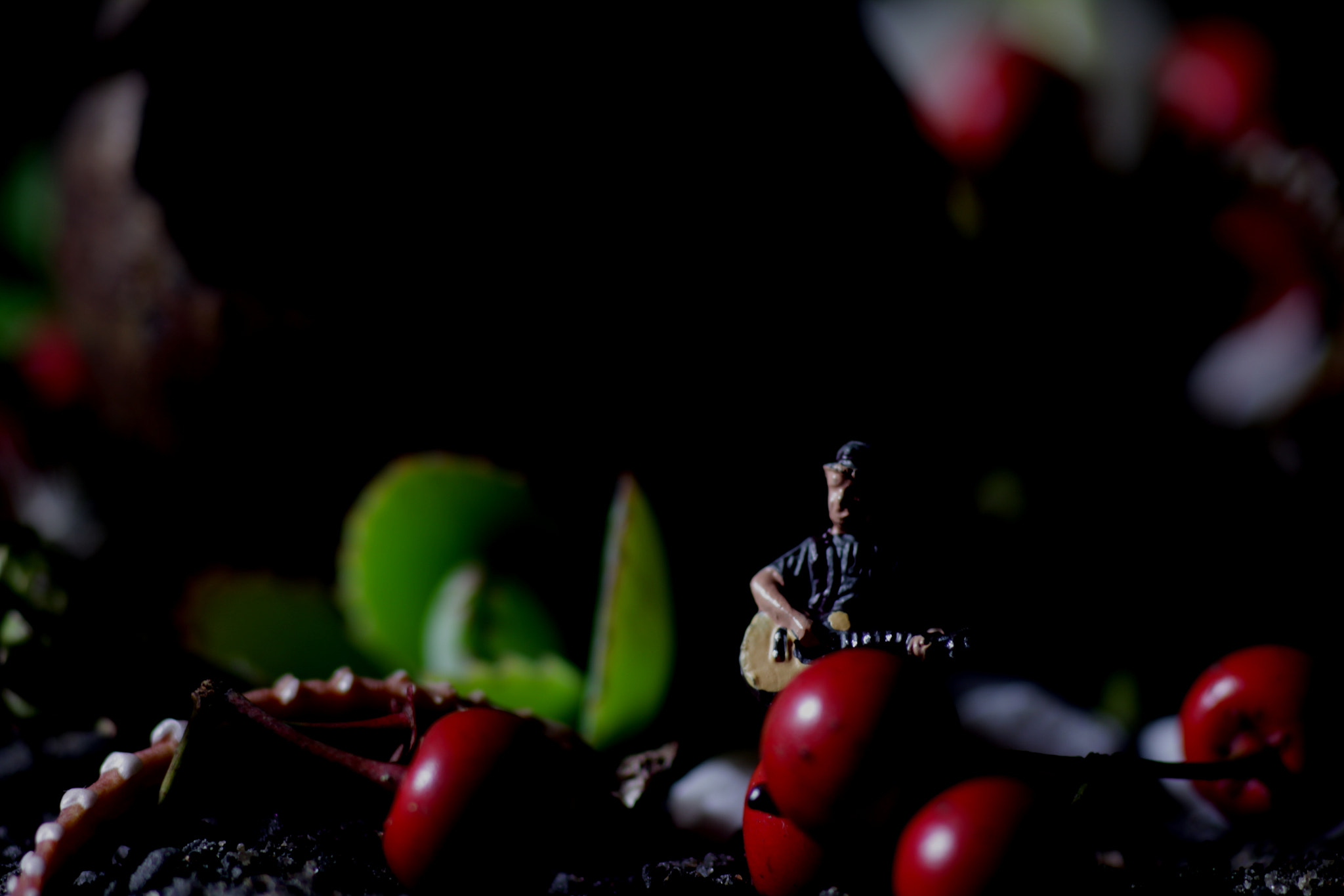 Canon EF 100mm F2.8 Macro USM sample photo. ....the answer is blowing in the wind... photography