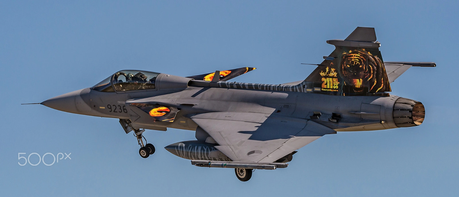 Sigma 150-600mm F5-6.3 DG OS HSM | C sample photo. Jas-39c gripen photography