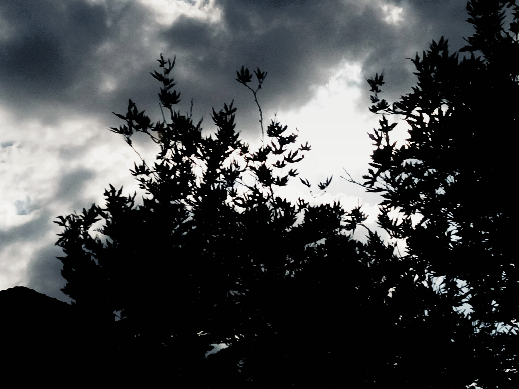 HTC DESIRE 820G PLUS DUAL SIM sample photo. Be happy photography