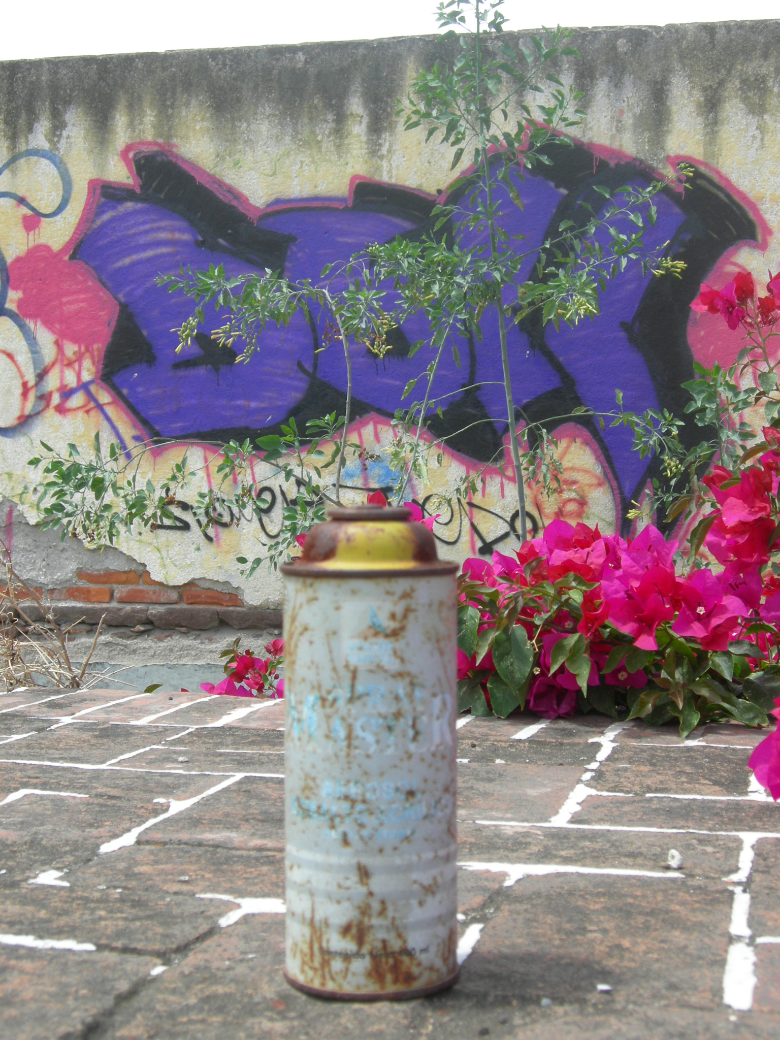 Nikon COOLPIX P1 sample photo. Street paint slp photography