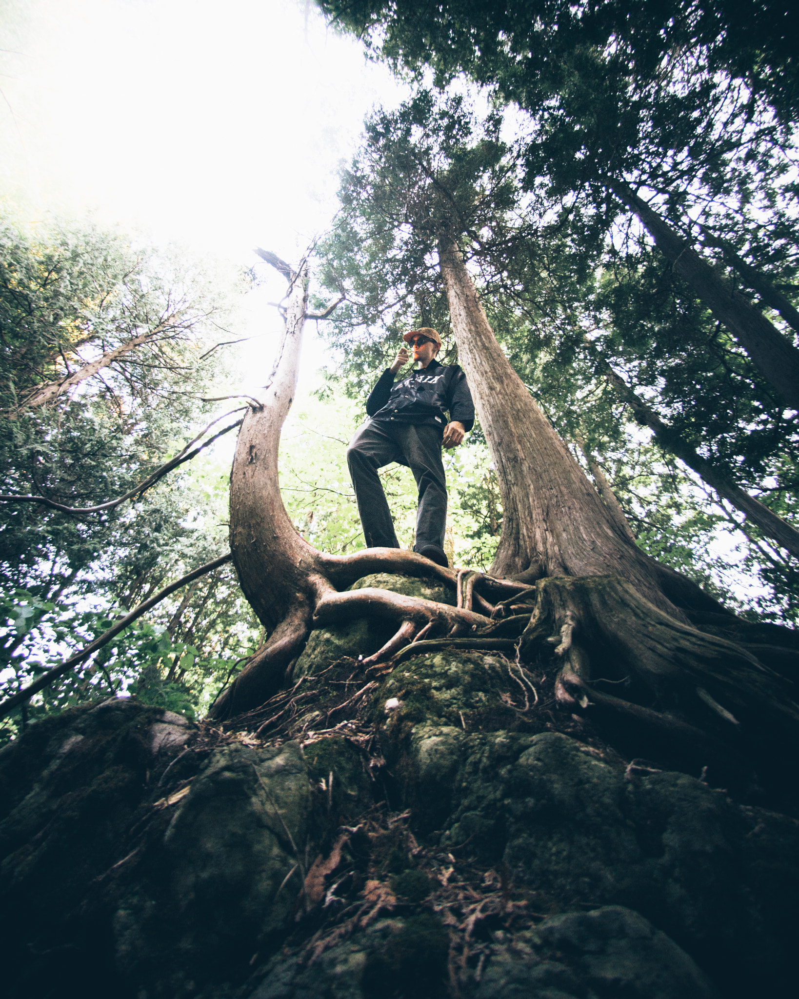 Nikon AF DX Fisheye-Nikkor 10.5mm F2.8G ED sample photo. King of the hill photography