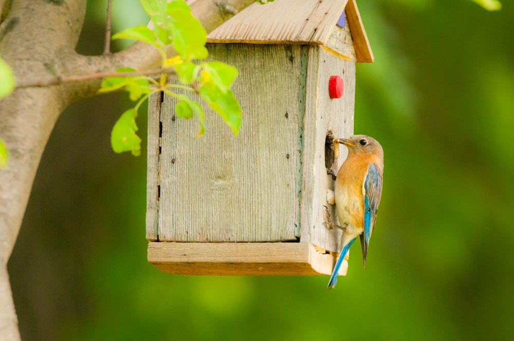 Sigma 150-600mm F5-6.3 DG OS HSM | C sample photo. Time to eat photography