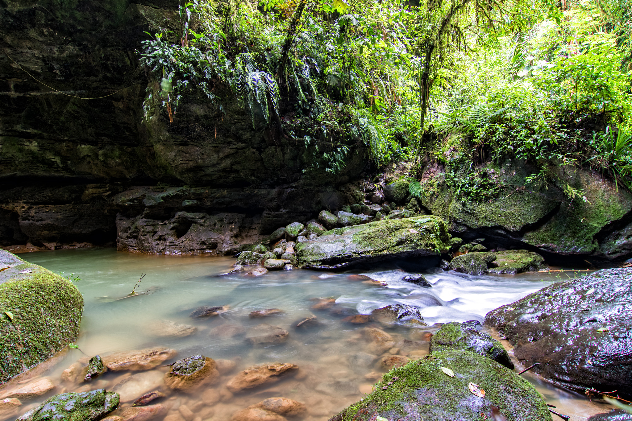 Canon EOS 7D Mark II + Tokina AT-X Pro 12-24mm F4 (IF) DX sample photo. Rain forest river photography