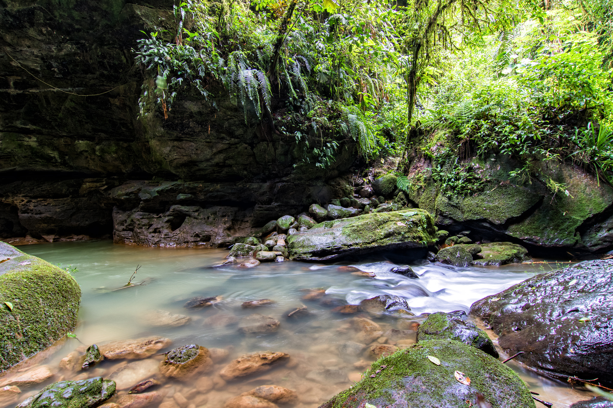 Tokina AT-X Pro 12-24mm F4 (IF) DX sample photo. Rain forest river photography
