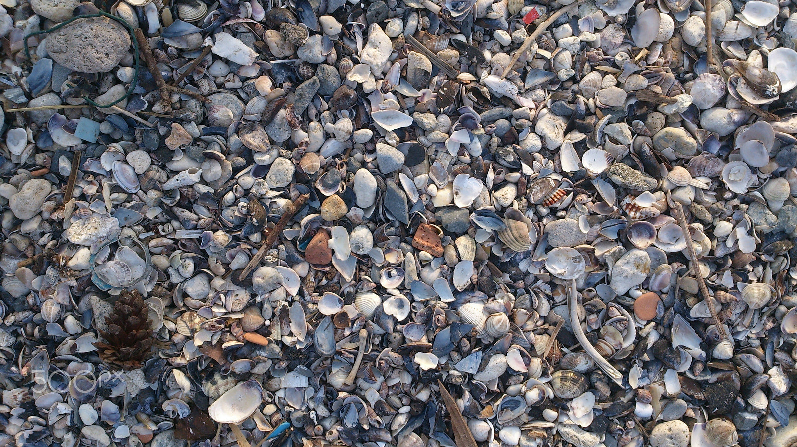 Sony Xperia V sample photo. Sea shore pebbles photography