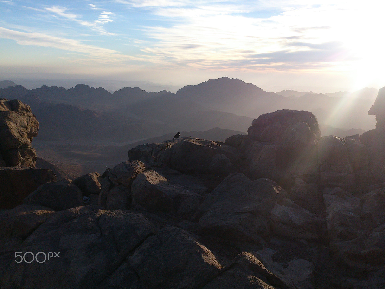 Sony Xperia V sample photo. Bird on the mountain top photography